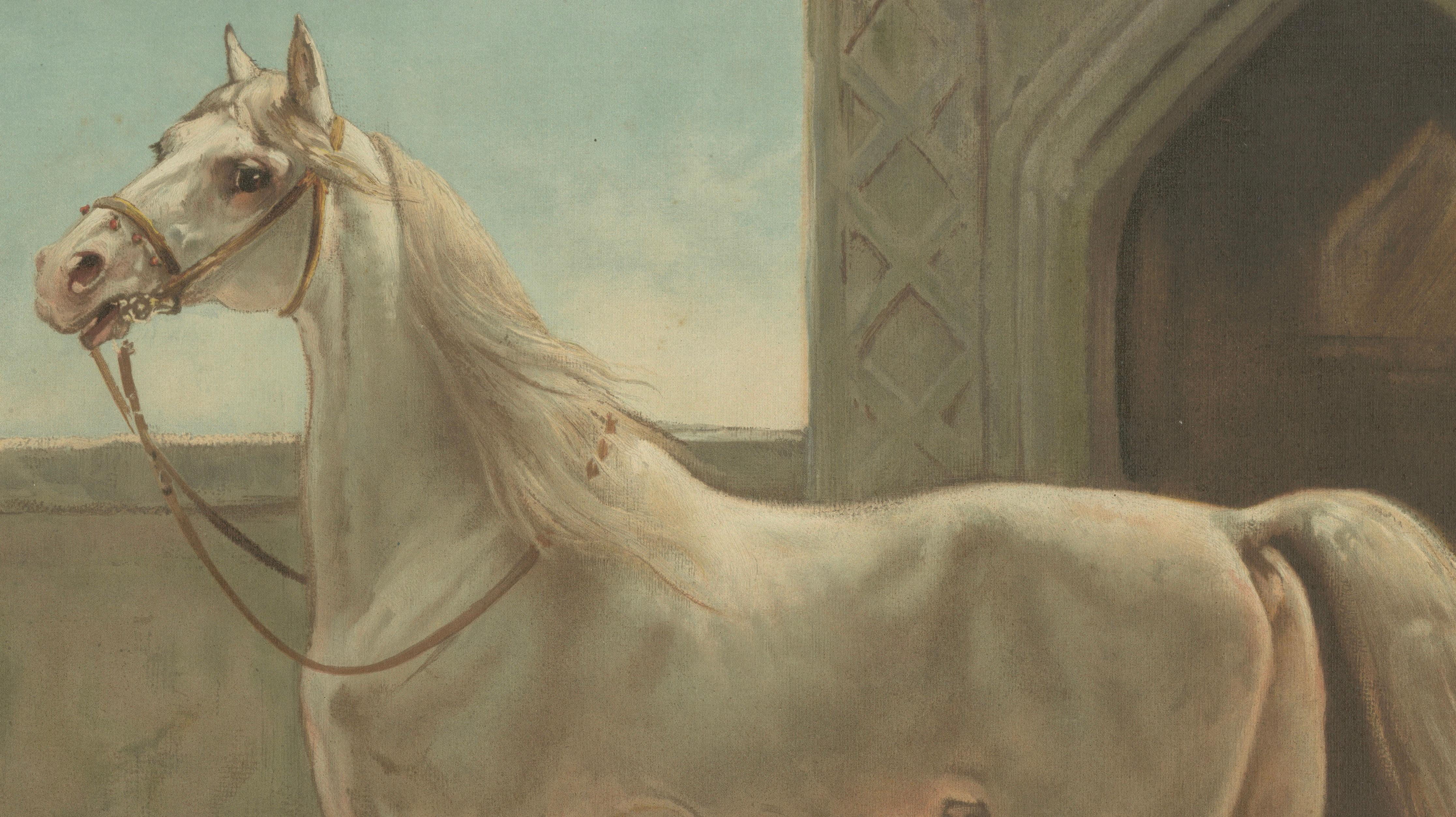 Antique Persian Horse Portrait 1898, Oriental Equestrian Lithograph