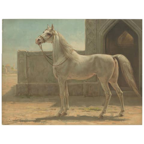 Antique Persian Horse Portrait 1898, Oriental Equestrian Lithograph