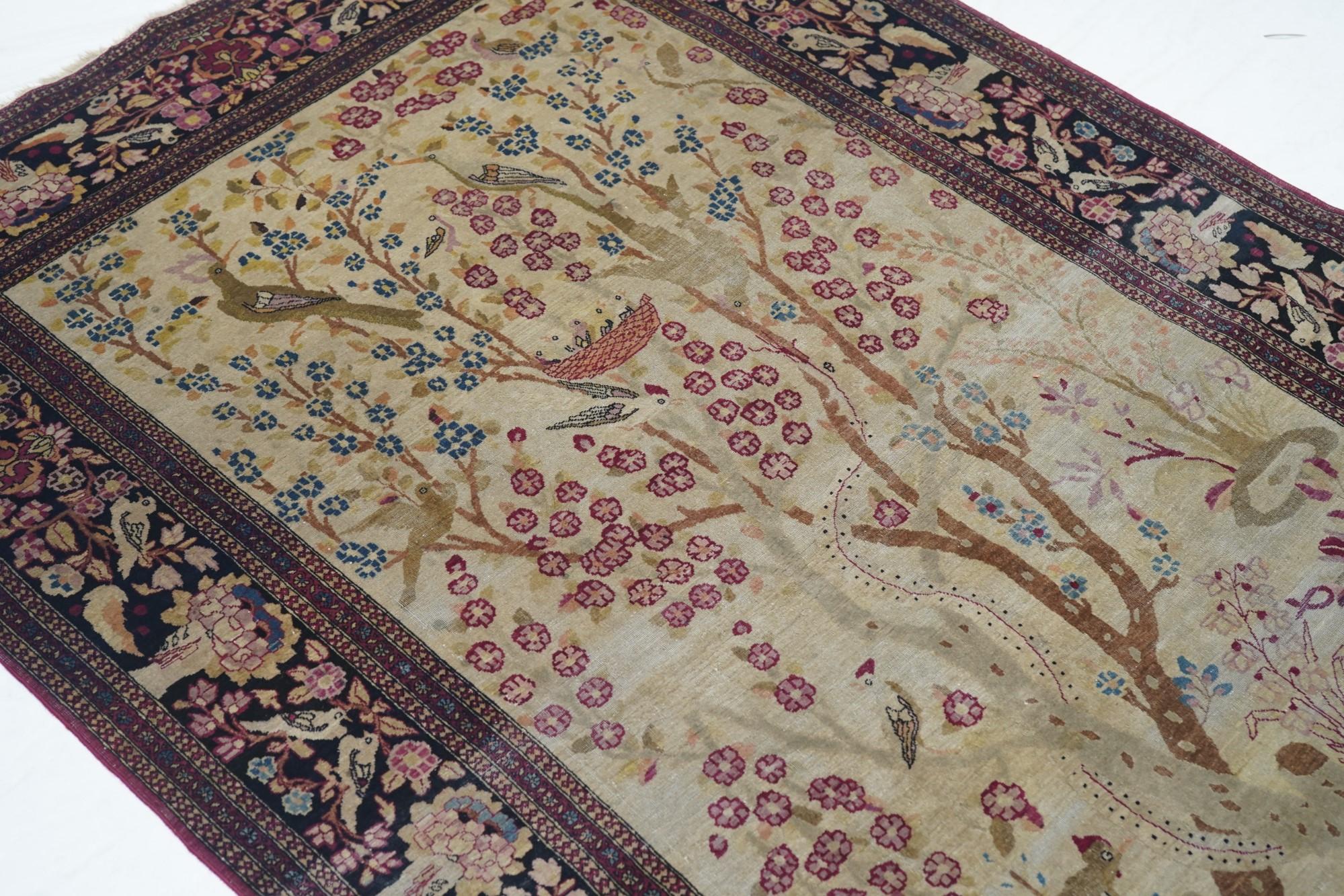 ahmadys persian rugs