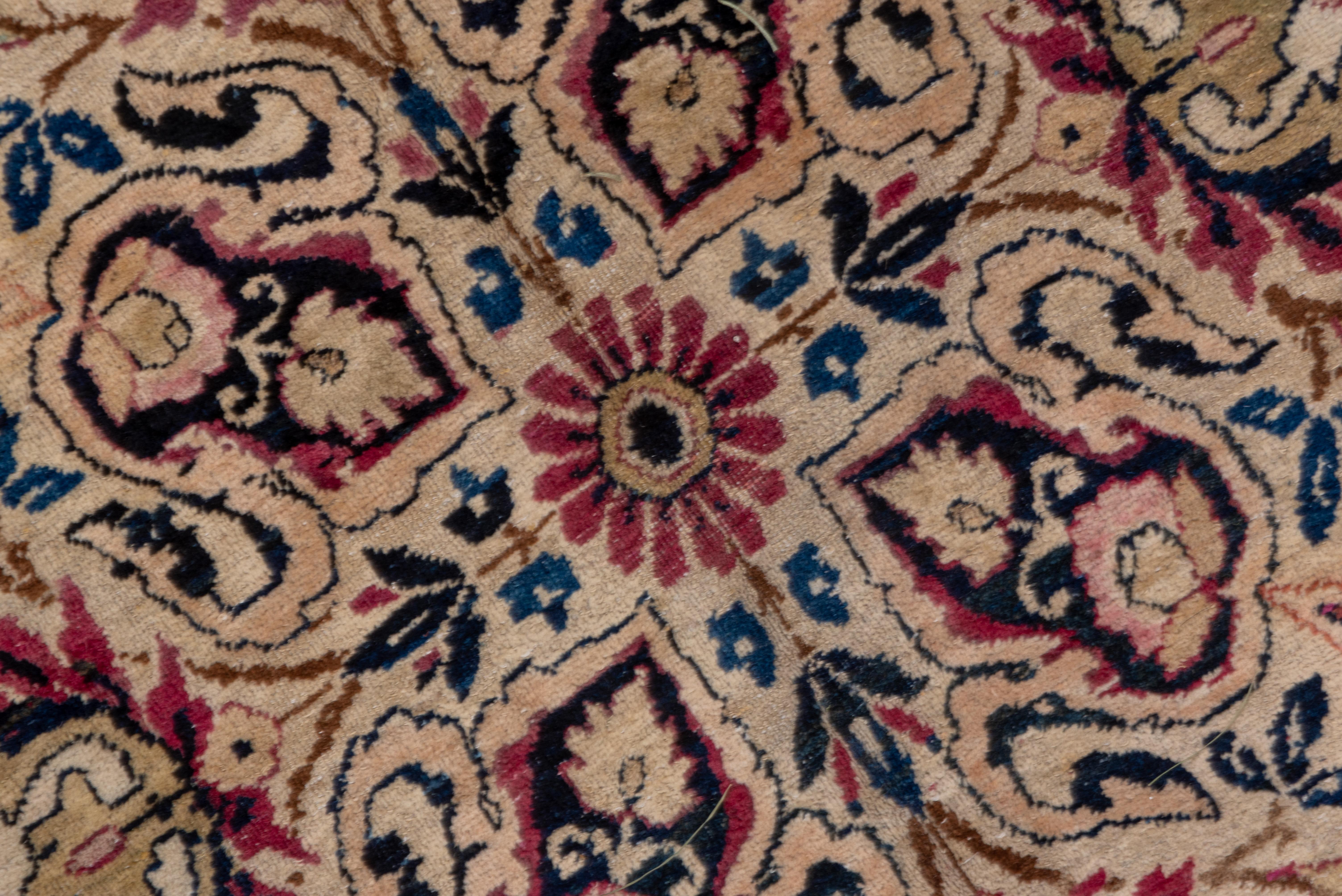 Of Laver (Lavar) quality, this well-woven SE Persian city carpet displays a coral field closely covered by an all-over pattern of large octofoil and quatrefoil stars enclosing palmettes with ivory, pale blue, pistachio, navy among the detail tones