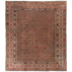 Antique Persian Khorassan Rug, circa 1900 14'0 x 16'10".