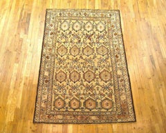 Antique Persian Kurd Rug, Small Size, W/ Paisley Design