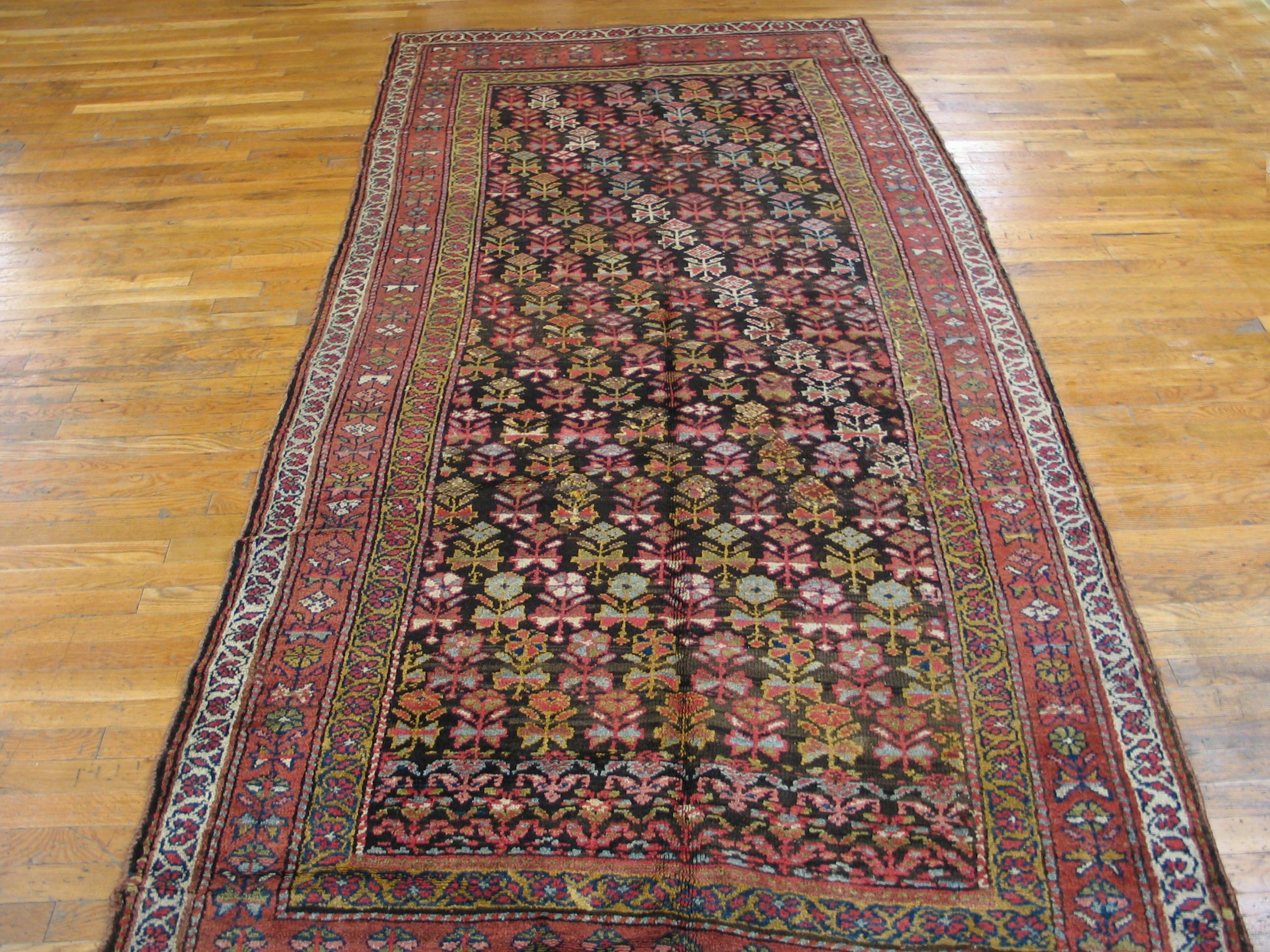 Hand-Knotted Early 20th Century Persian Kurdish Carpet ( 5' x 10'6