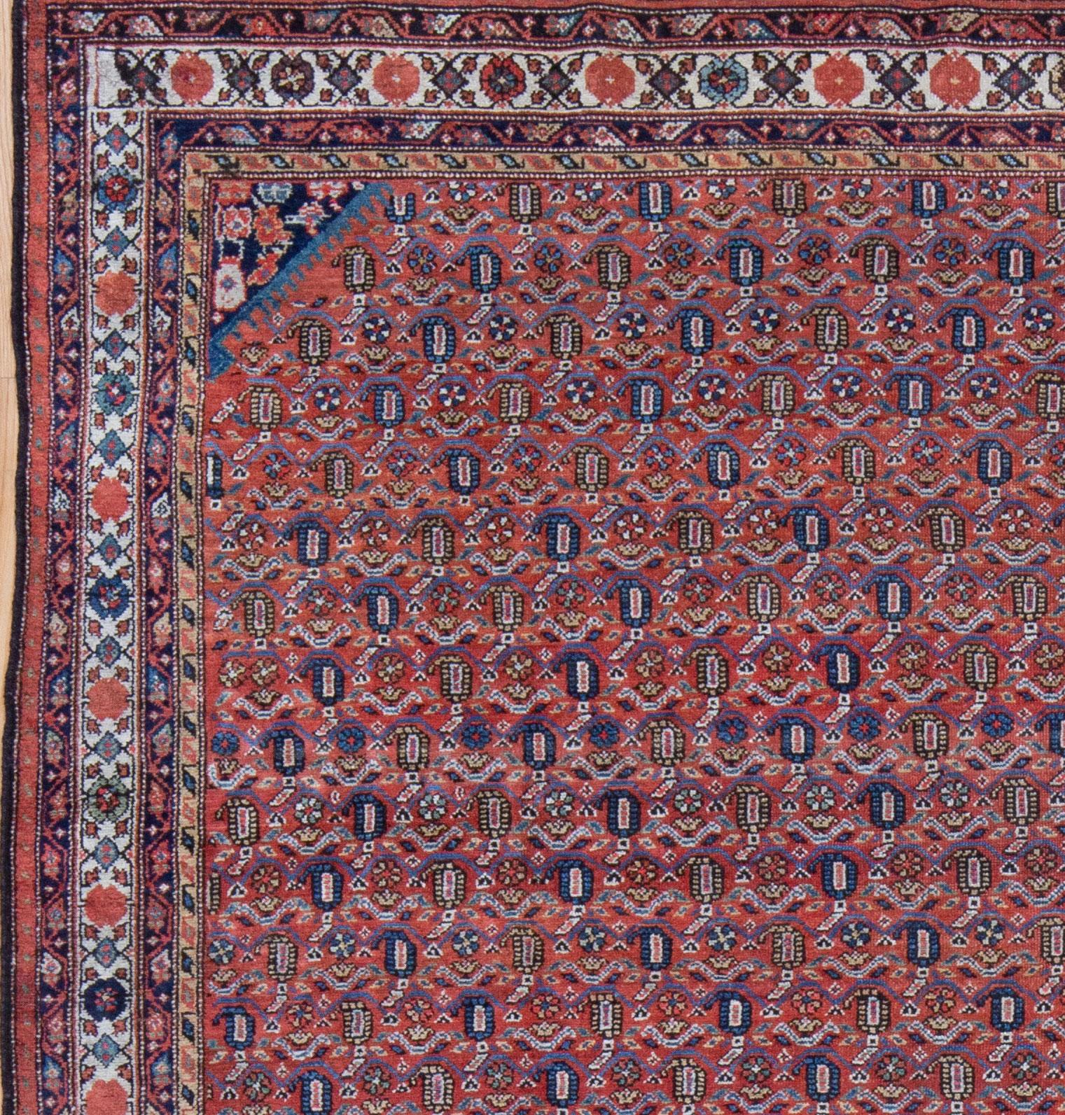 An early 20th century Persian Malayer rug with a boteh (paisley) design. A classic red field with navy and cornflower blue. A durable weave with an even, low wool pile and floppy hand. In good condition with preserves sides and ends. Naturally dyed. 