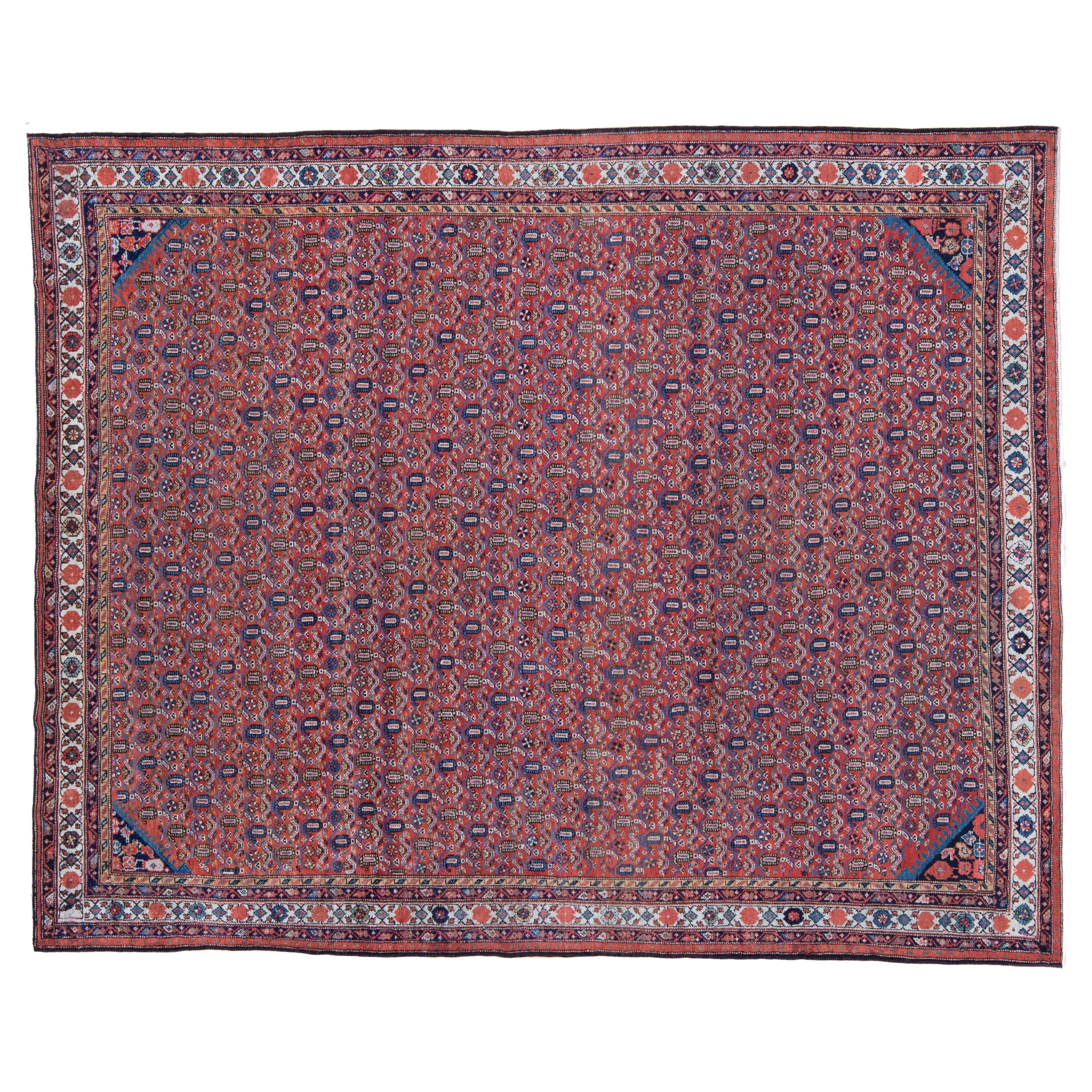 Antique Persian Malayer Large Red Boteh Rug, Early 20th Century  For Sale