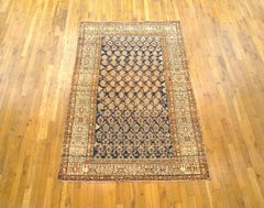Antique Persian Malayer Oriental Rug, in Small Size, with Varying Paisley Design