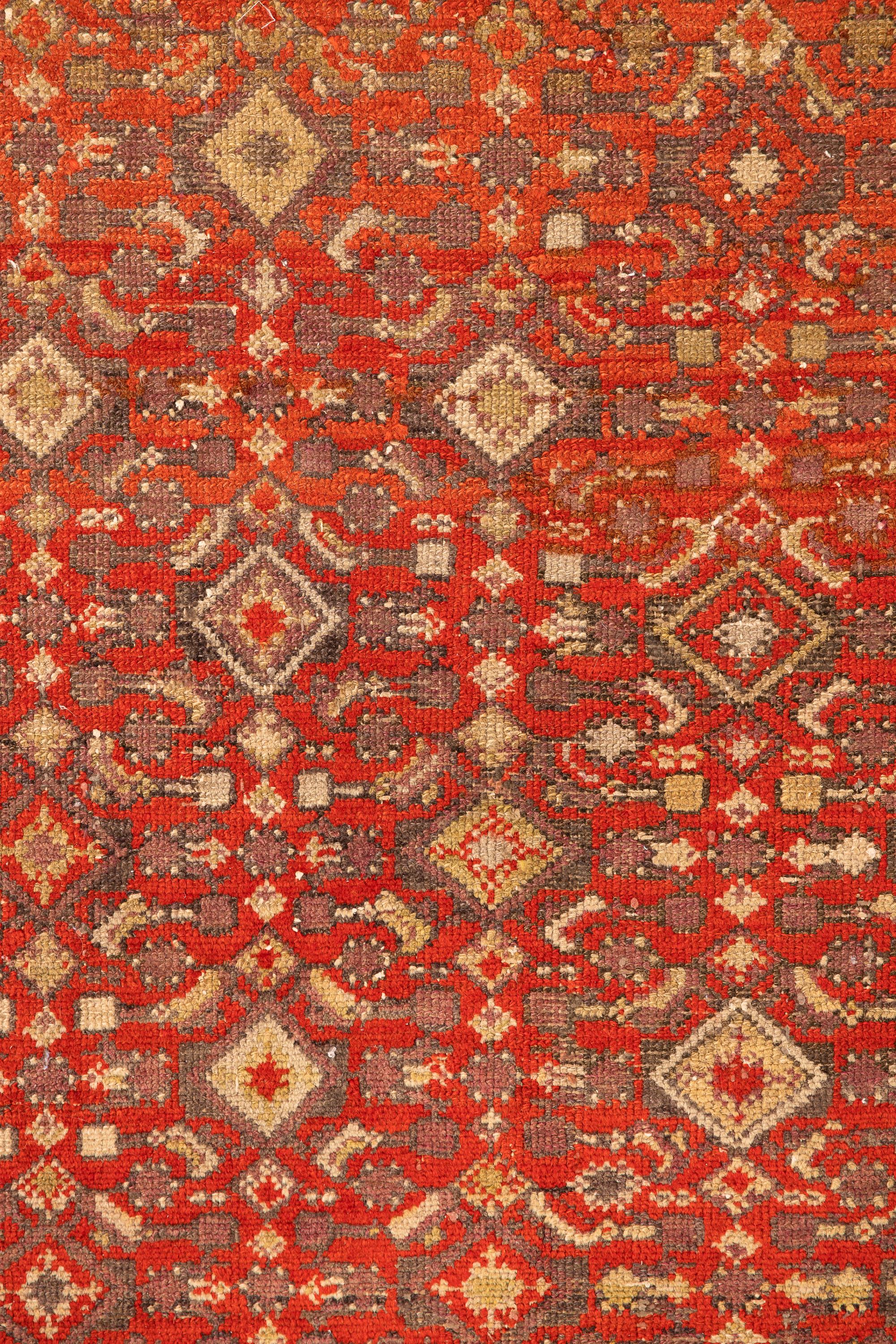 Malayer – Northwest Persia

This Malayer was made with lustrous and resistant wool and features subtle, mesmerizing, and repeating geometric patterns. The main field, in red, is composed of small diamonds surrounded by the most varied geometric