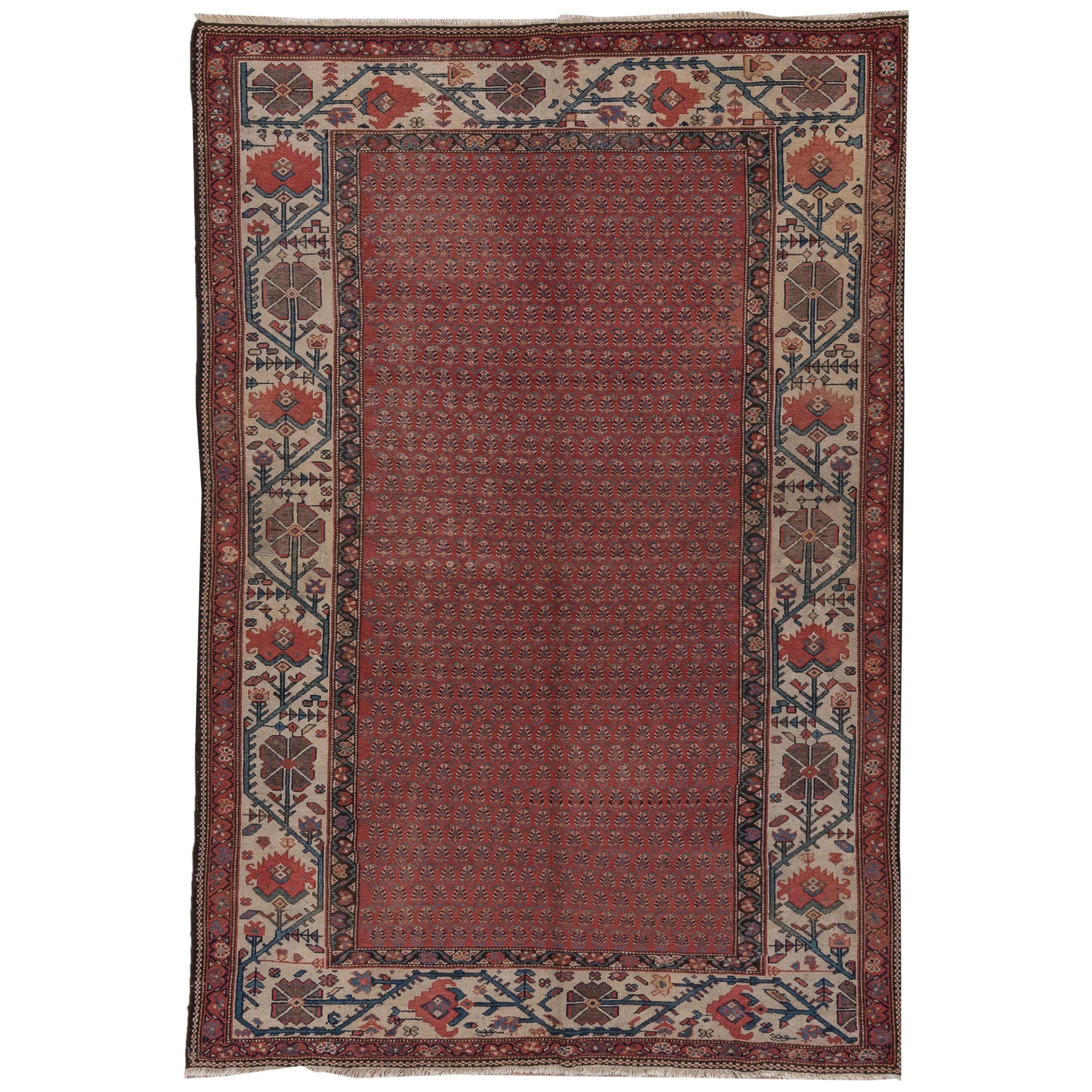 Antique Persian Malayer Rug, Red All-Over Field, Ivory Borders, circa 1920s