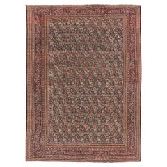 Antique Persian Mashad Rug - Size: 8'5x6'0