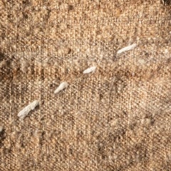 Antique Persian Mazandaran Lahaf Kilim, Undyed Camel, Brown, Beige, Large Rug