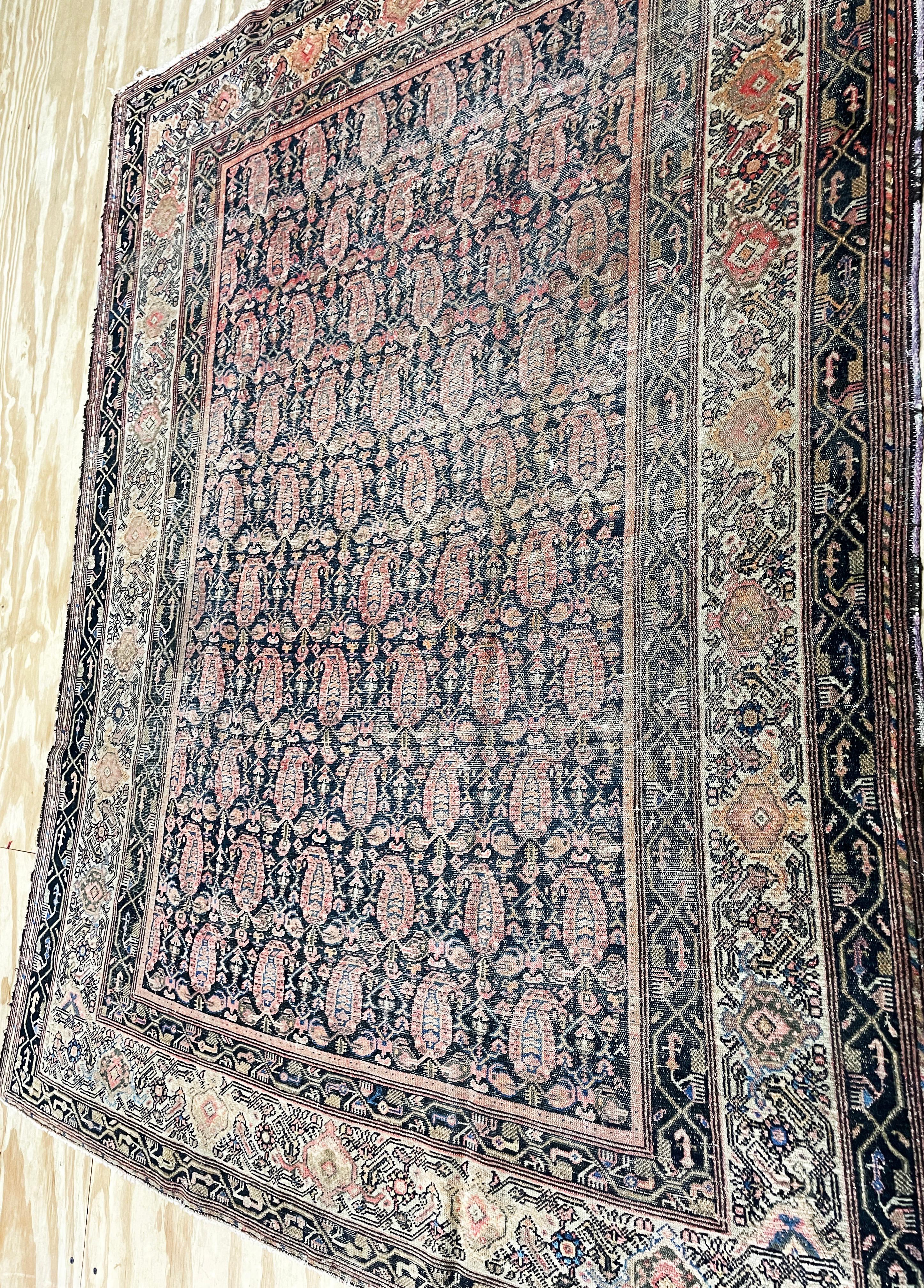 
Entdecken Sie die zeitlose Schönheit der antiken persischen Malayer Teppiche

Treten Sie ein in eine Welt voller Eleganz und Geschichte mit diesem exquisiten 48