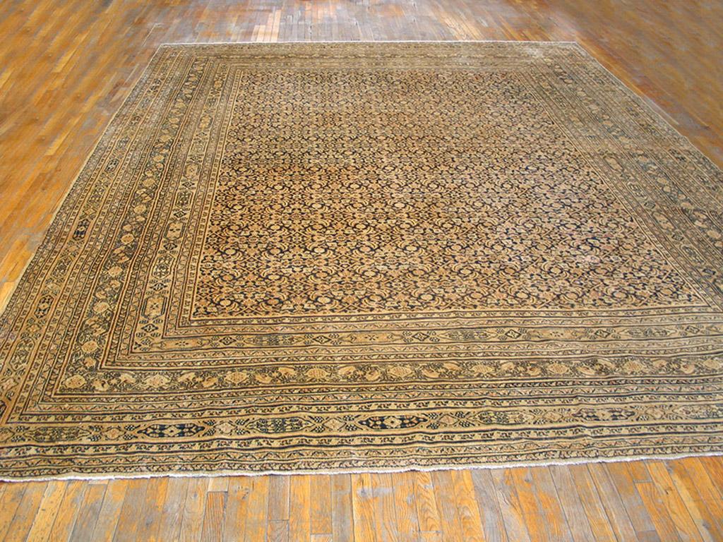 Hand-Knotted 19th Century N.E. Persian Khorassan Moud Carpet ( 11'6