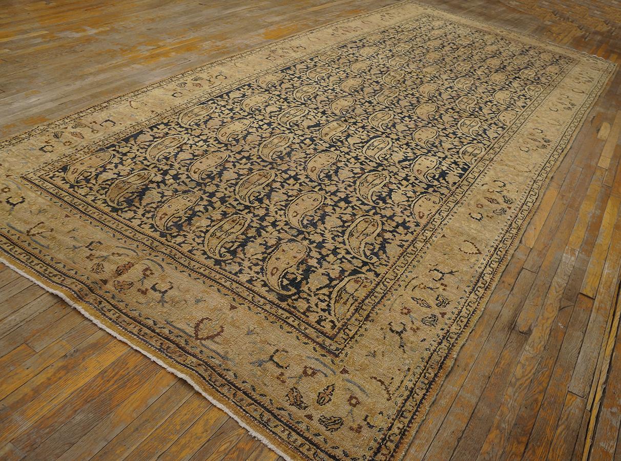 Khorassan Early 20th Century N.E. Persian Moud Gallery Carpet ( 6' 8