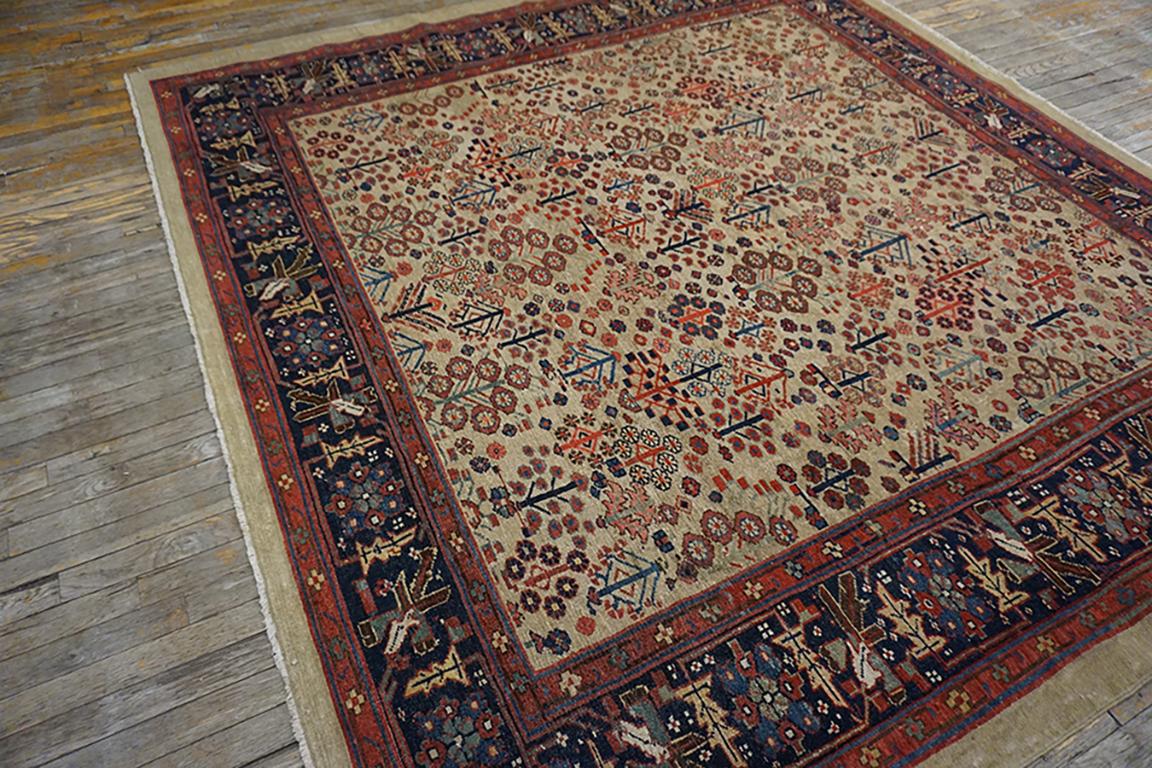 19. Jahrhundert N.W. Persischer „Bakshaiesh“-Teppich ( 7''4 x 8'' - 224 x 244) (Spätes 19. Jahrhundert) im Angebot