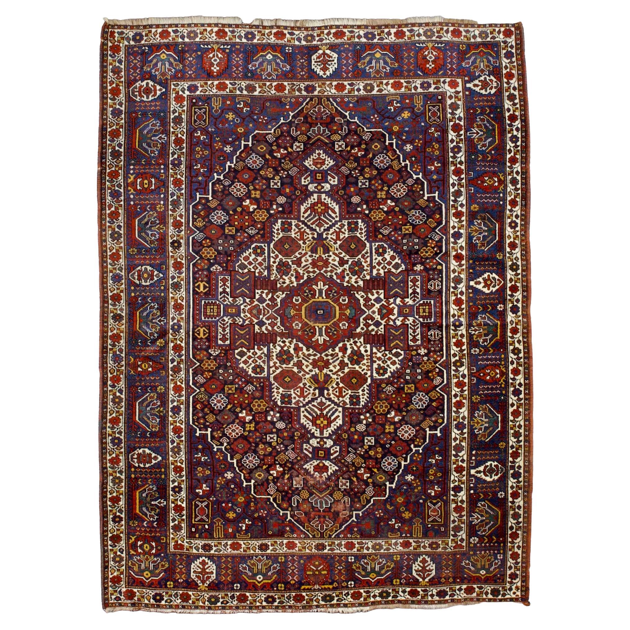 Tappeto antico persiano Qashqai 6'2" x 8'4"