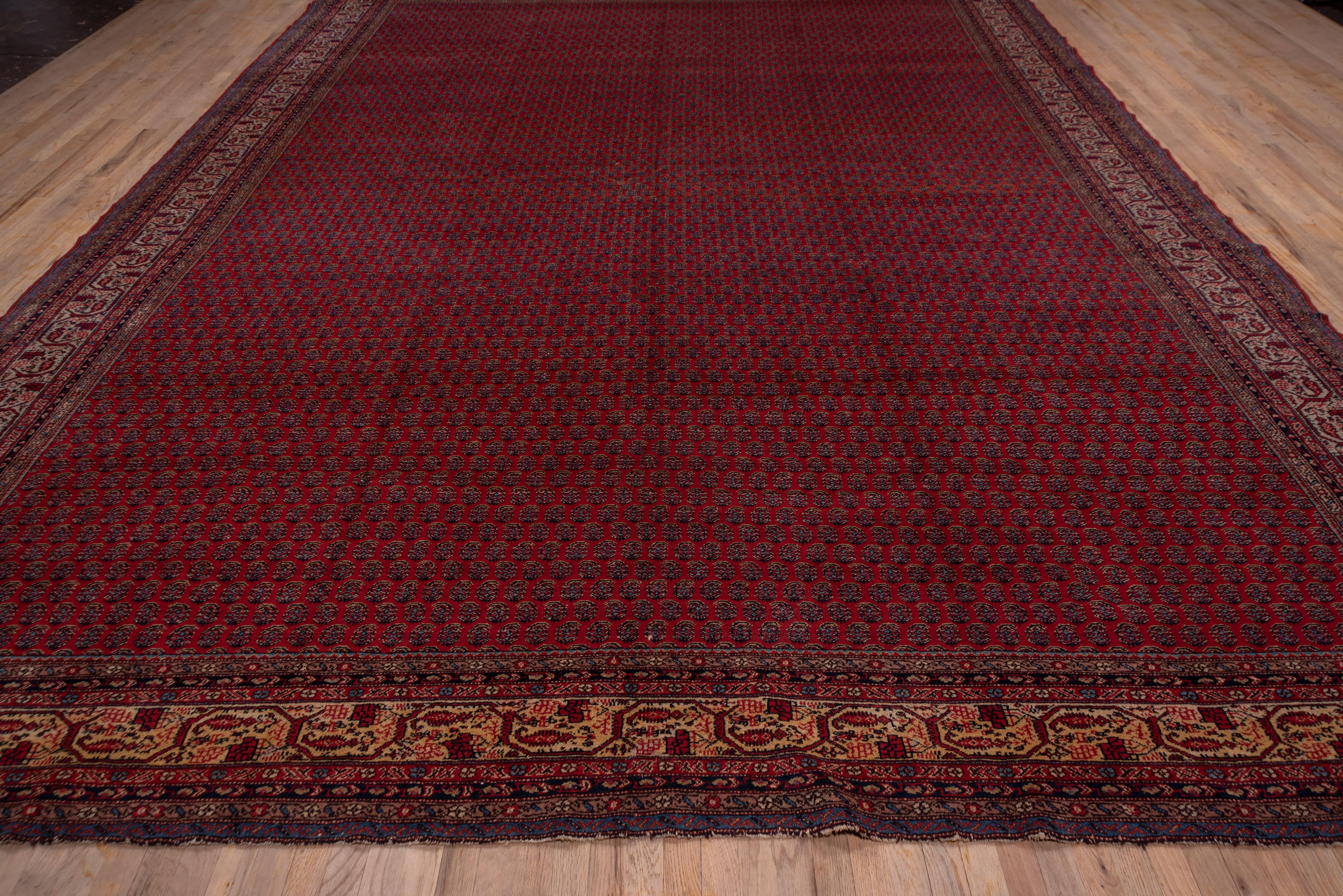 In the iconic central Persian Saraband design, offset rows of floriated bottehs decorate the red field while the equally Classic ivory border shows a faceted vine and pendant bottehs. The condition is generally very good and the carpet is elegant