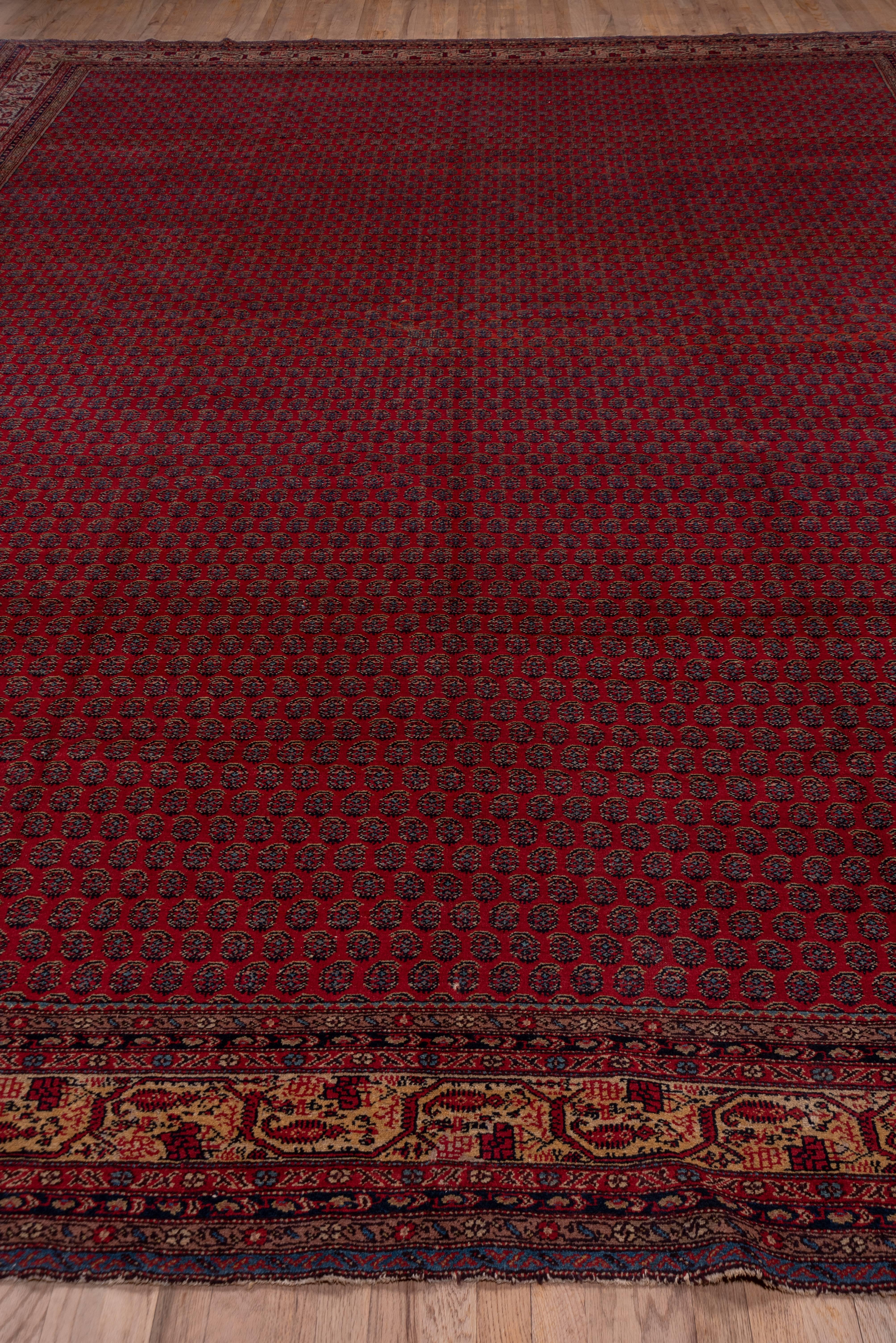 Antique Persian Saraband Carpet, Red Allover Field, Circa 1930s In Excellent Condition For Sale In New York, NY