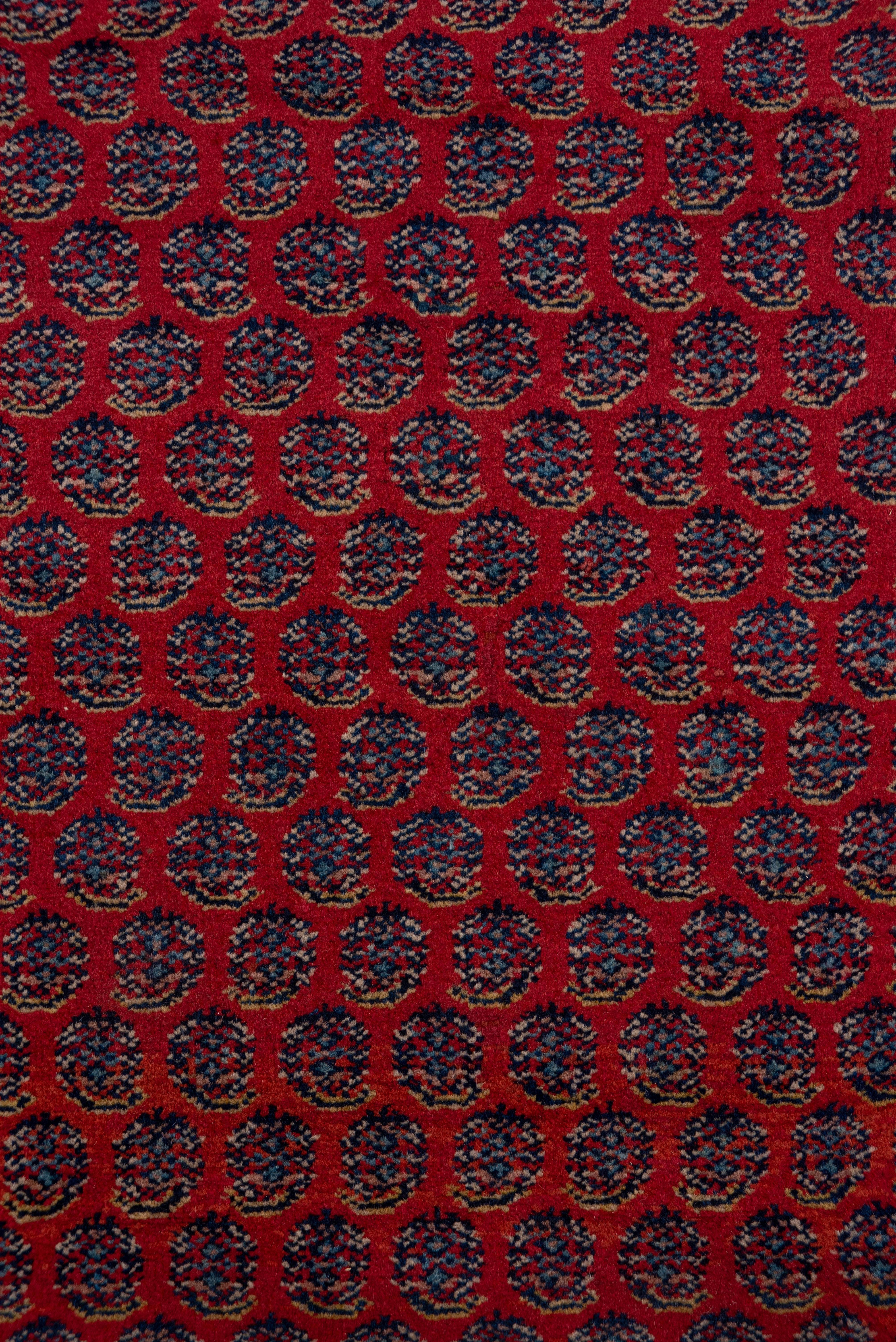 20th Century Antique Persian Saraband Carpet, Red Allover Field, Circa 1930s For Sale