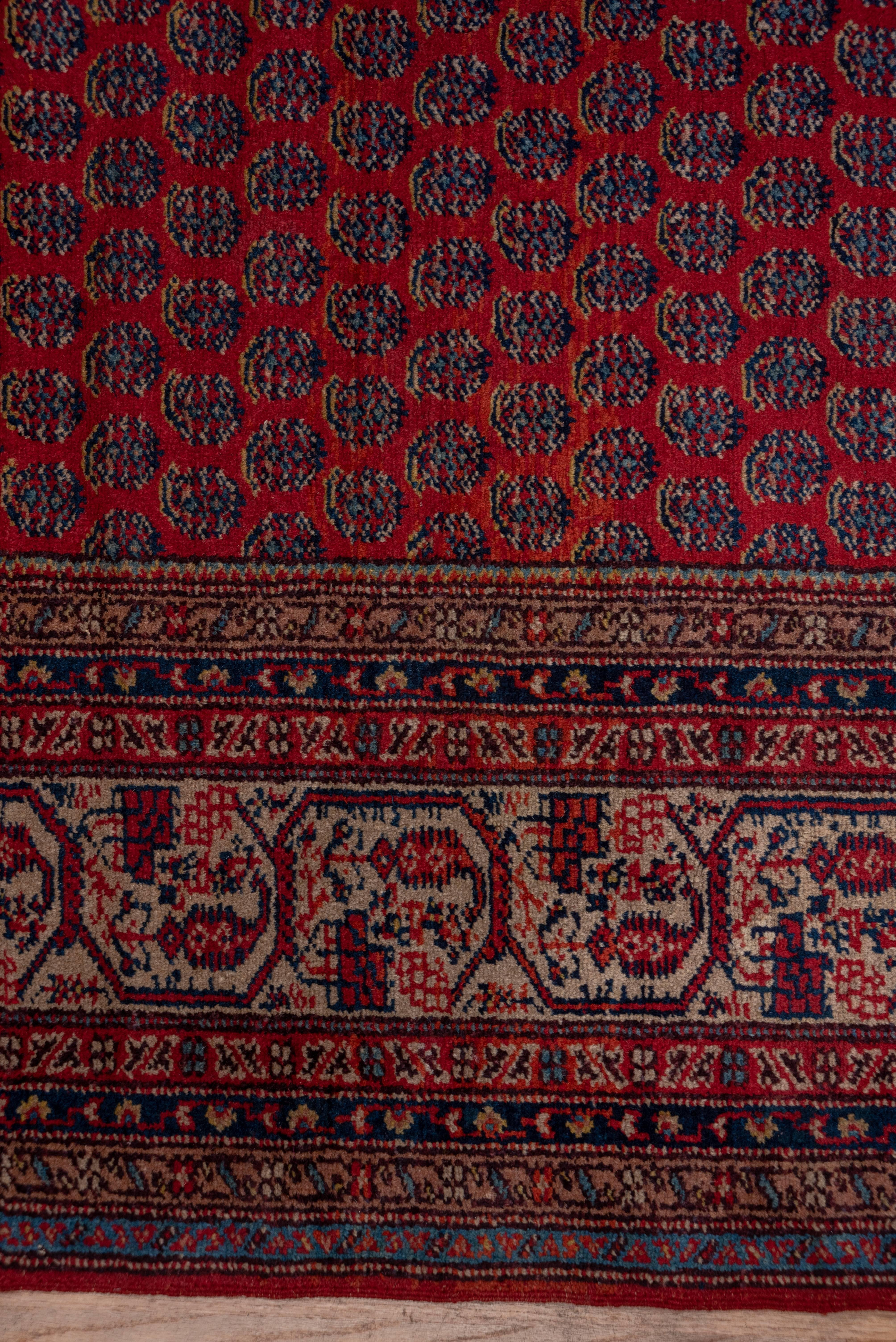 Wool Antique Persian Saraband Carpet, Red Allover Field, Circa 1930s For Sale