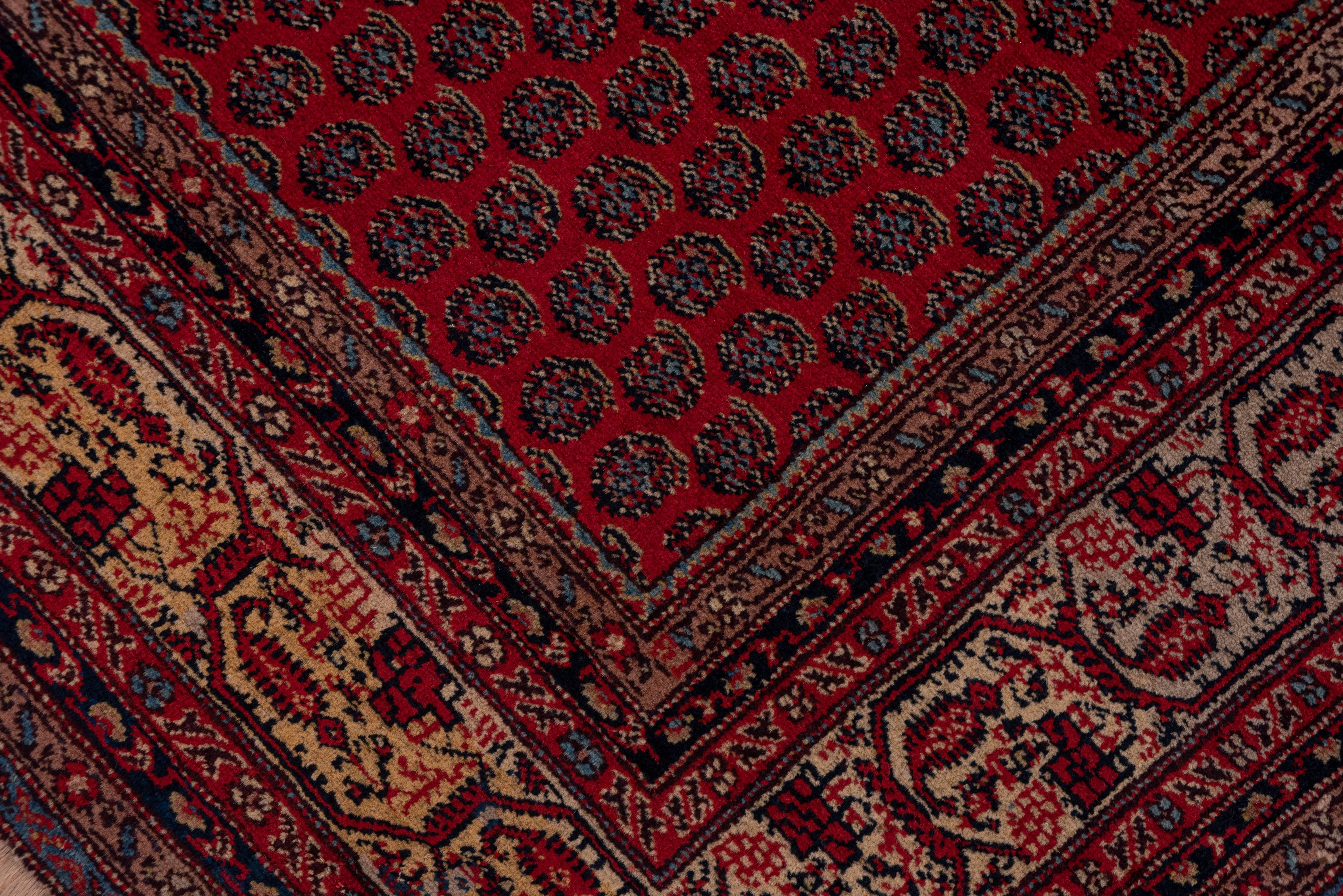 Antique Persian Saraband Carpet, Red Allover Field, Circa 1930s For Sale 2