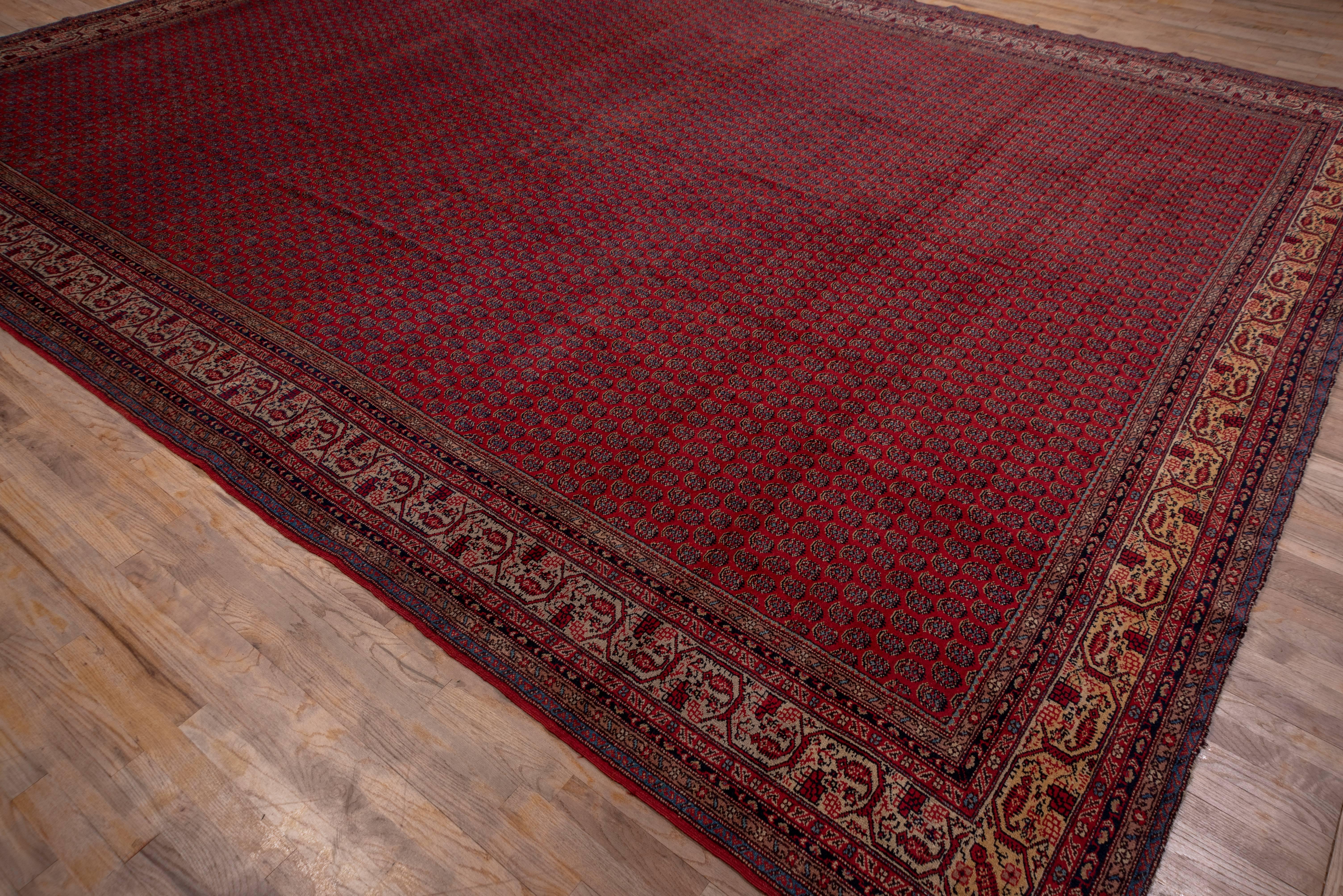 Antique Persian Saraband Carpet, Red Allover Field, Circa 1930s For Sale 3