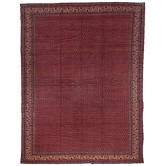 Antique Persian Saraband Carpet, Red Allover Field, Circa 1930s