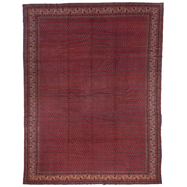 Saraband Rug Antique Persian Saraband Carpet, Red Allover Field, Circa 1930s For ...