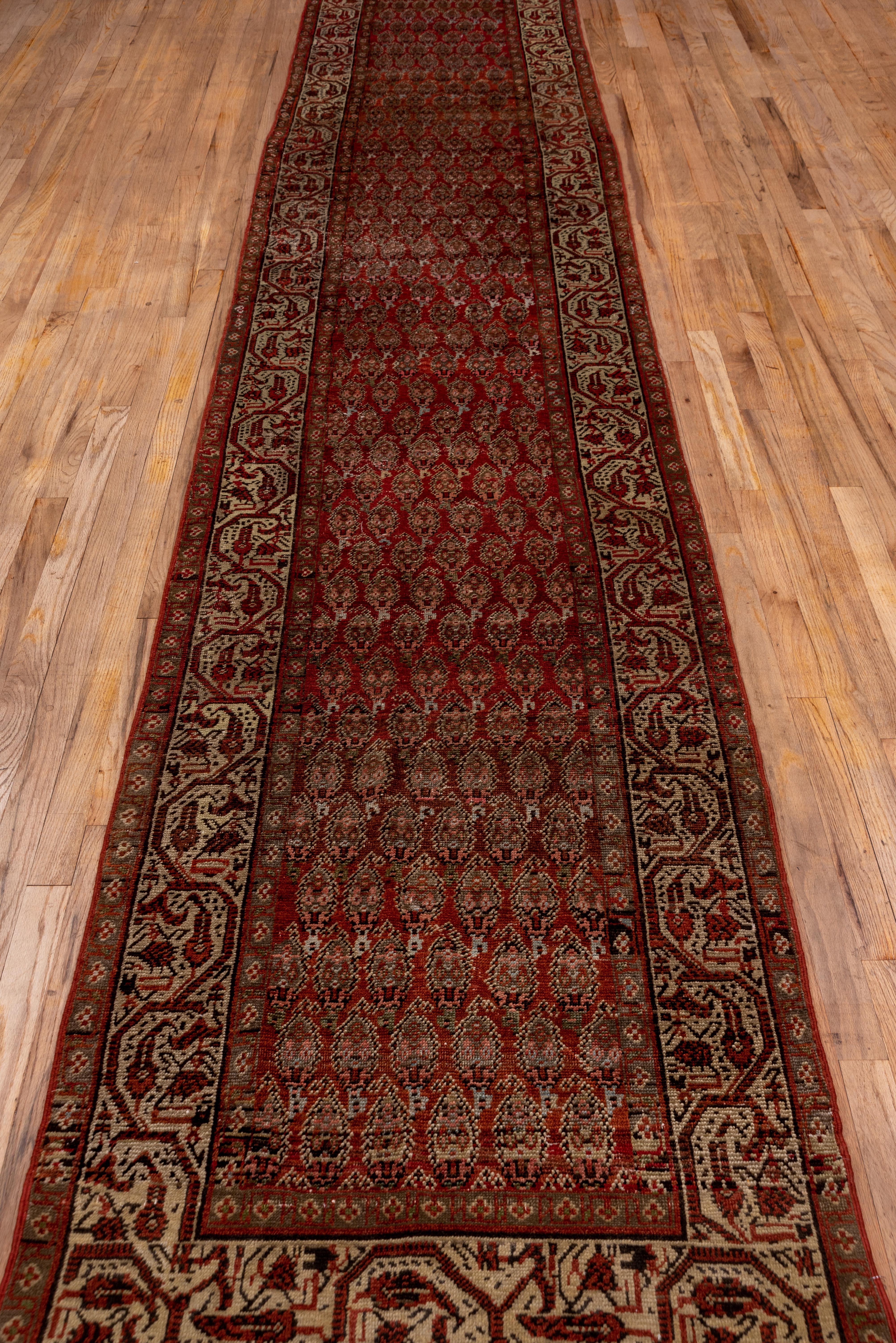 Hand-Knotted Antique Persian Saraband Long Runner, Red Paisley Field, Taupe Borders For Sale