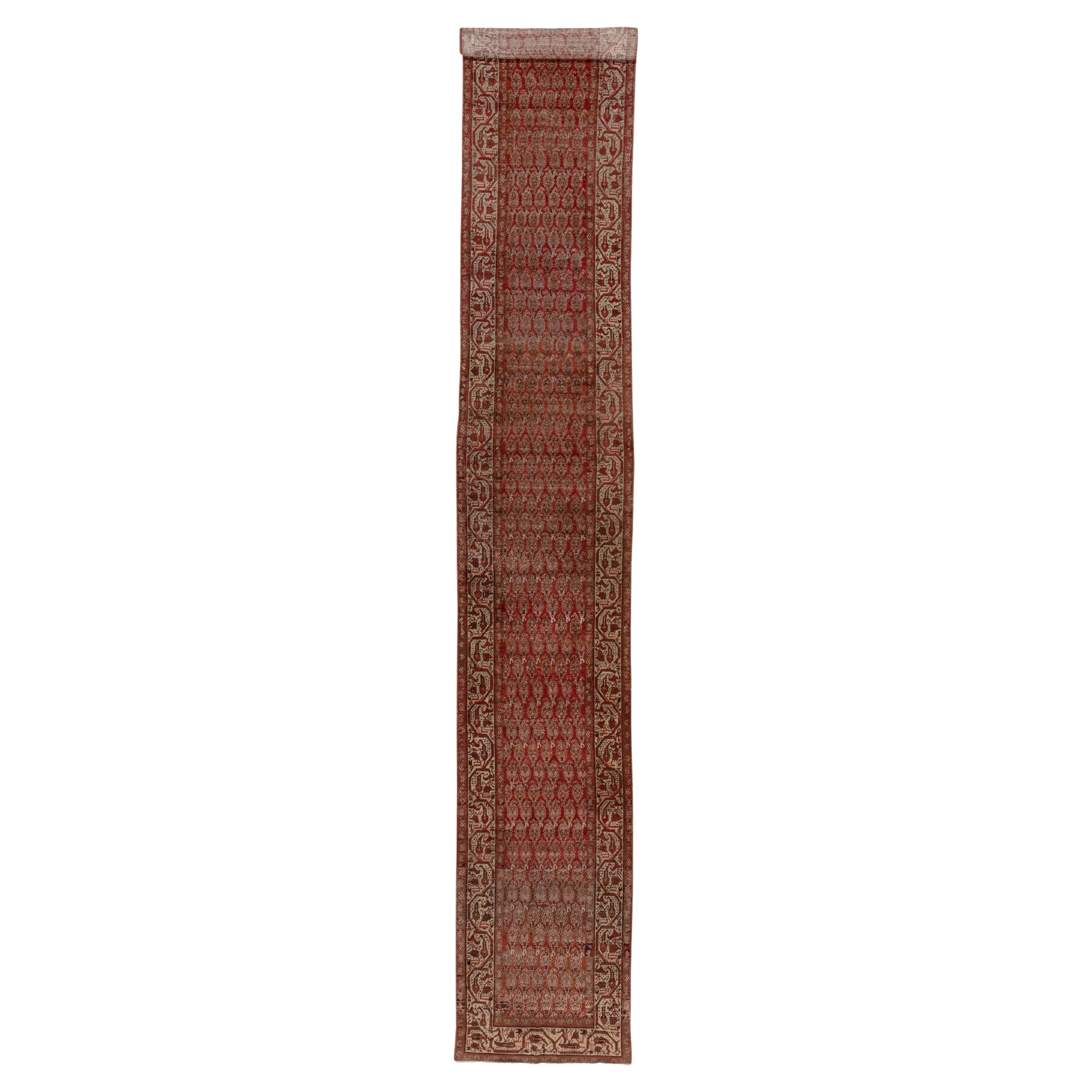 Long tapis de couloir persan ancien Saraband, terrain rouge à motif cachemire, bordures taupe
