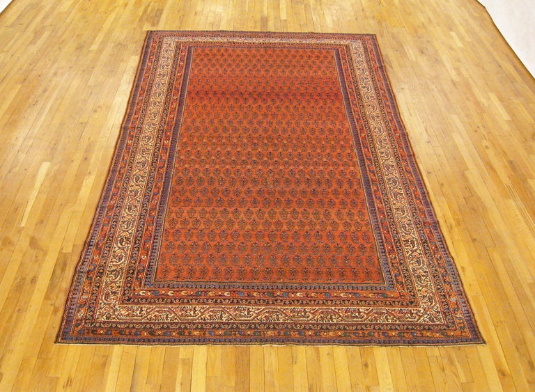 Antique Persian Saraband Oriental Rug, in Small Size, W/ Allover Design ...