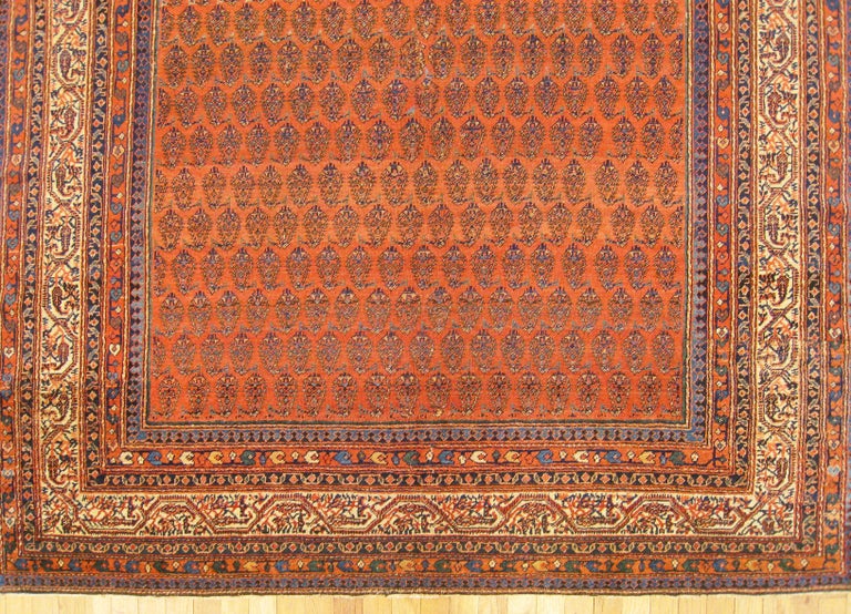 Antique Persian Saraband Oriental Rug, in Small Size, W/ Allover Design ...