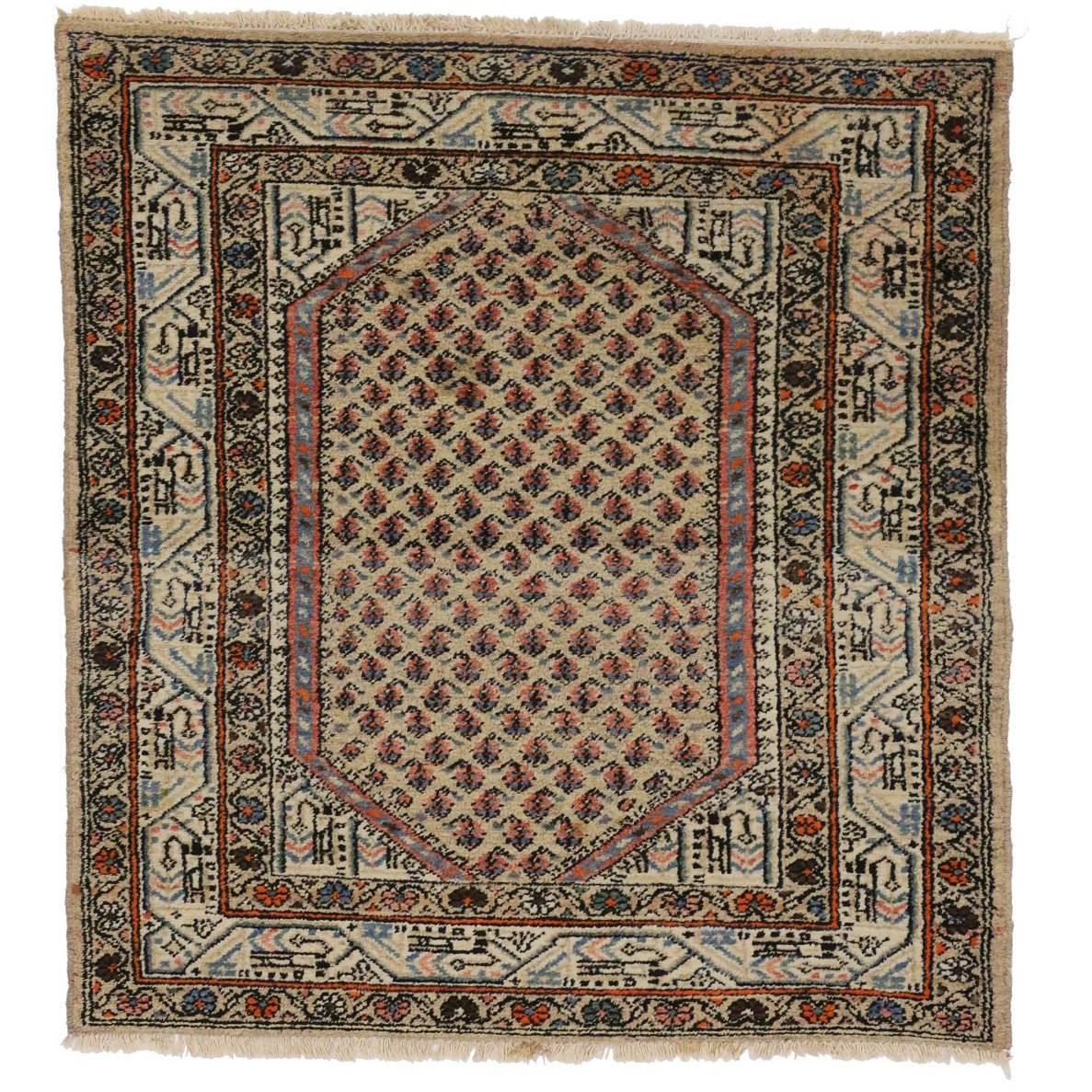 Late 19th Century Persian Saraband Carpet with Traditional Style