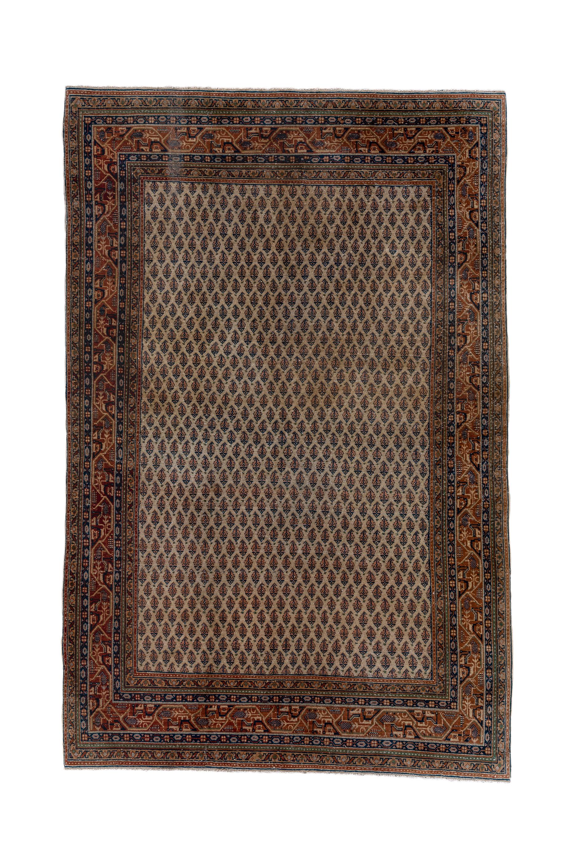 This well-woven, west Persian village scatter shows an ecru/sand field with rows and reversing rows in half-drop array, of little floriated botehs, all in the Saraband style. Straw/camel main border with abstract polychrome geometric forms. Good