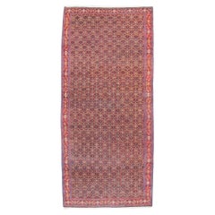 Tapis persan ancien Senneh long, vers 1900