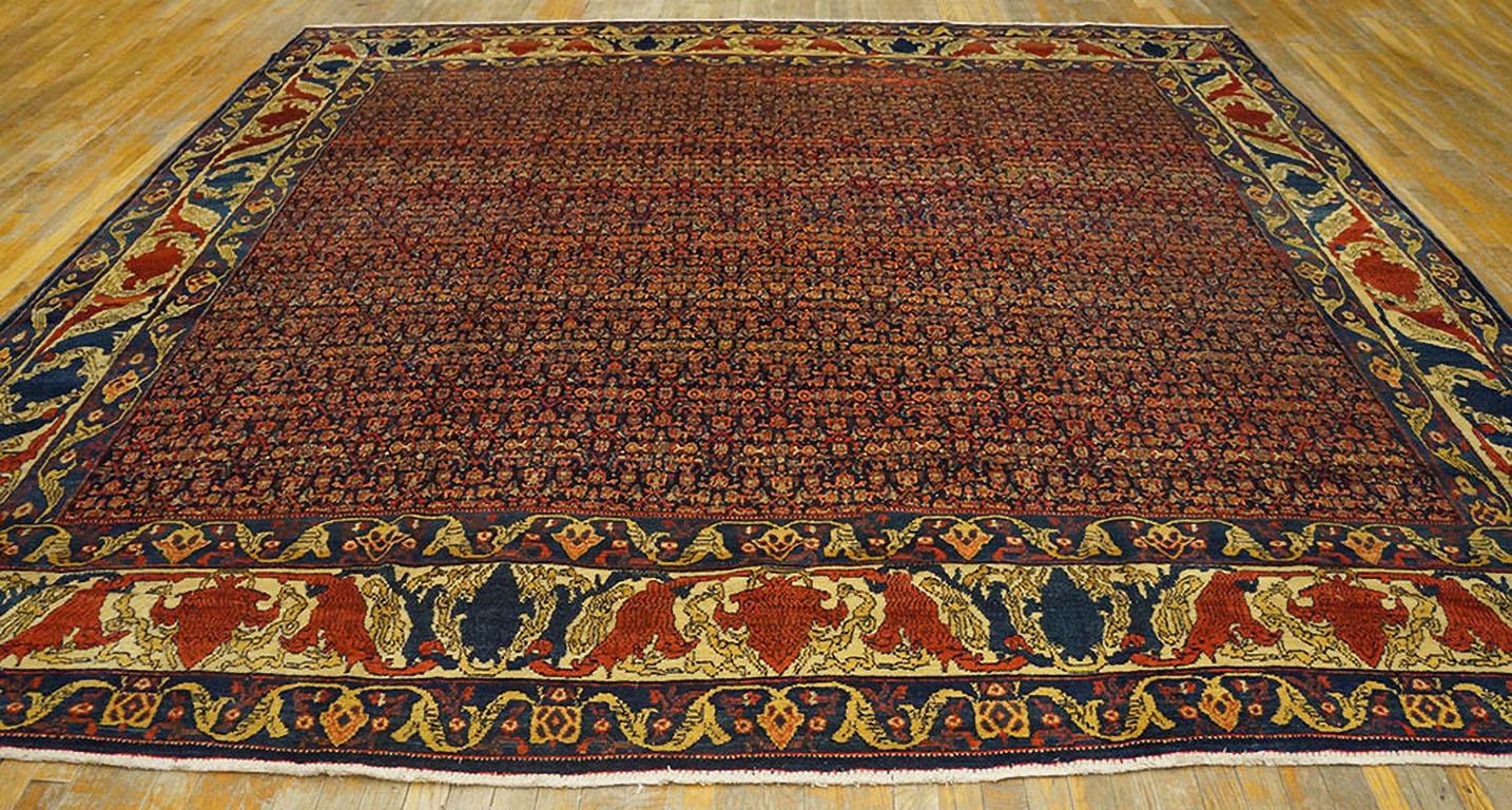 Lana Tappeto W. Persian Senneh del XIX secolo ( 11' x 11'3