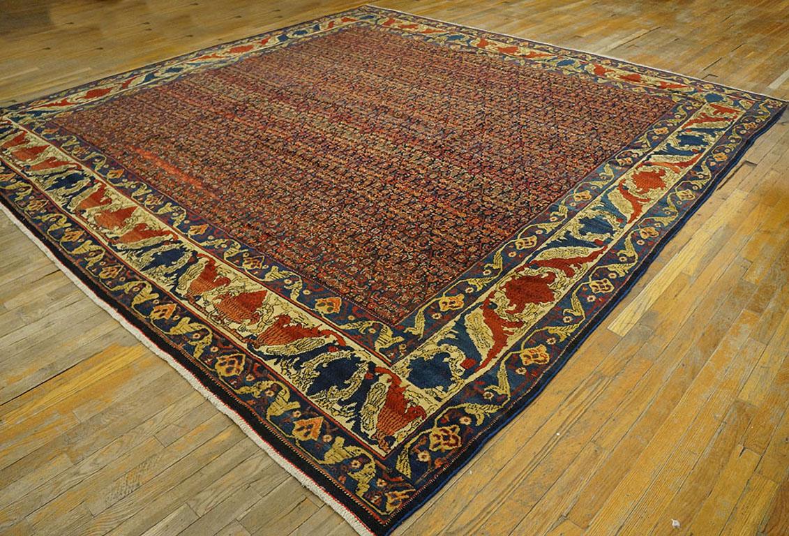 19th Century W. Persian Senneh Carpet ( 11' x 11'3
