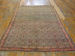 19th Century W. Persian Senneh Carpet ( 6' x 9'8" - 183 x 295 )