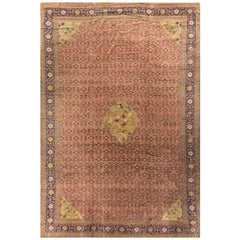 Antique Persian Senneh Rug Carpet, circa 1890