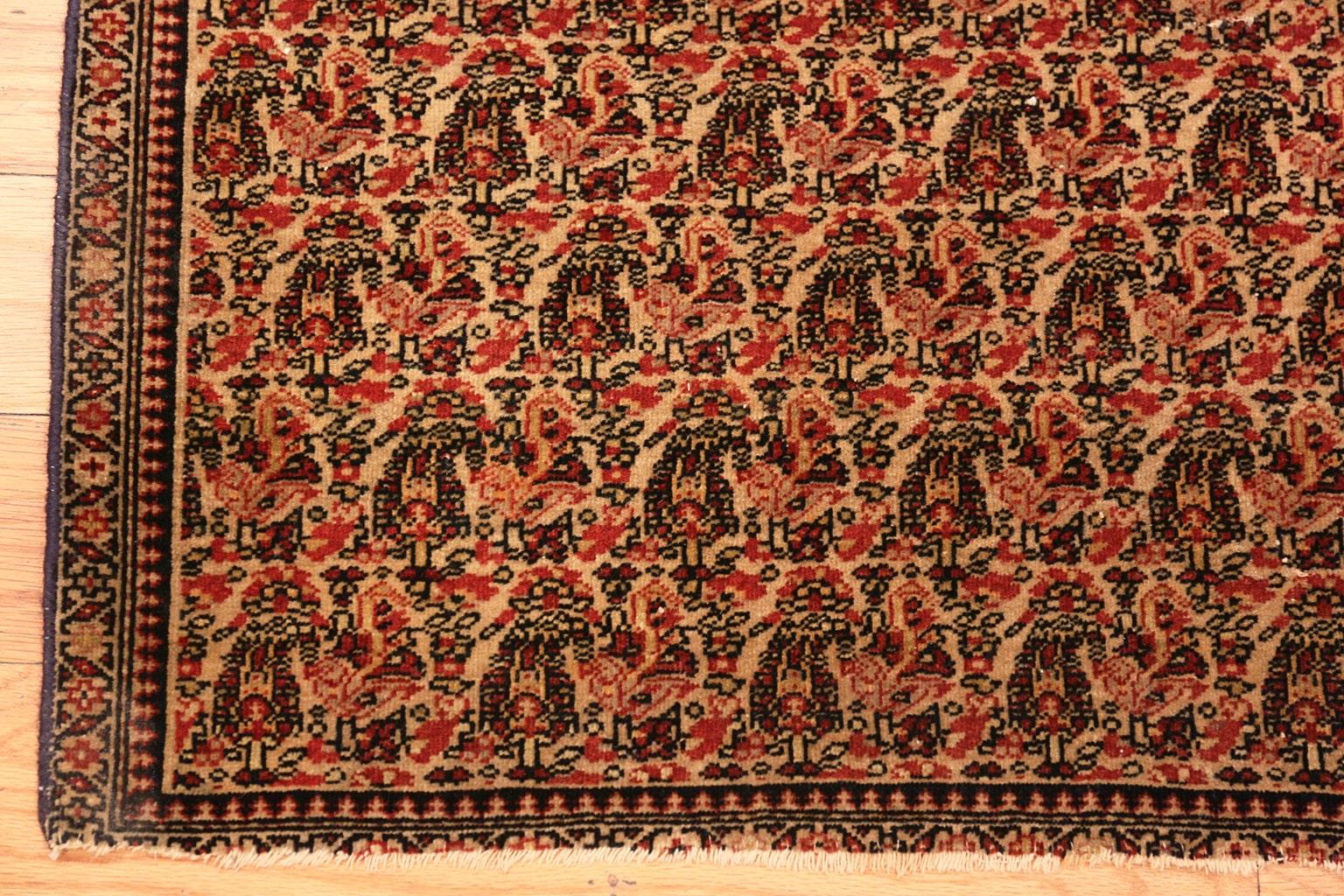 Antique Persian Senneh rug, origin: Persia, date circa 1880. Size: 3 ft x 1 ft 10 in (0.91 m x 0.56 m).

This extraordinary antique Persian Senneh carpet is an outstanding example of the distinctive designs and unique style associated with Persia’s