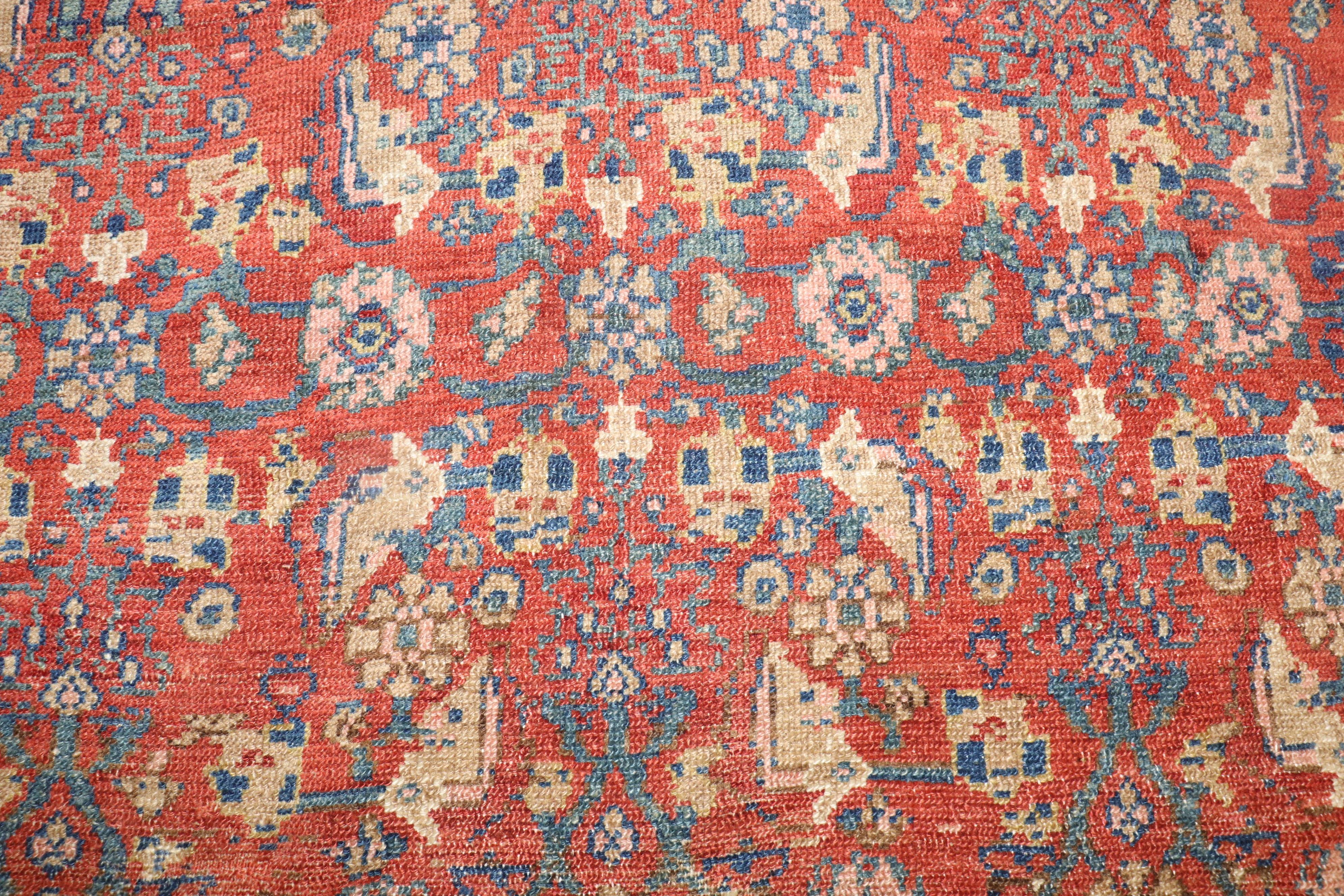 A fine antique Persian Senneh interemediate size rug from the 2nd quarter of the 20th century

Measure: 4'7'' x 6'6'' circa 1930

Antique Senneh rugs are one of the most distinctive of all Persian rugs, even though the designs are often similar