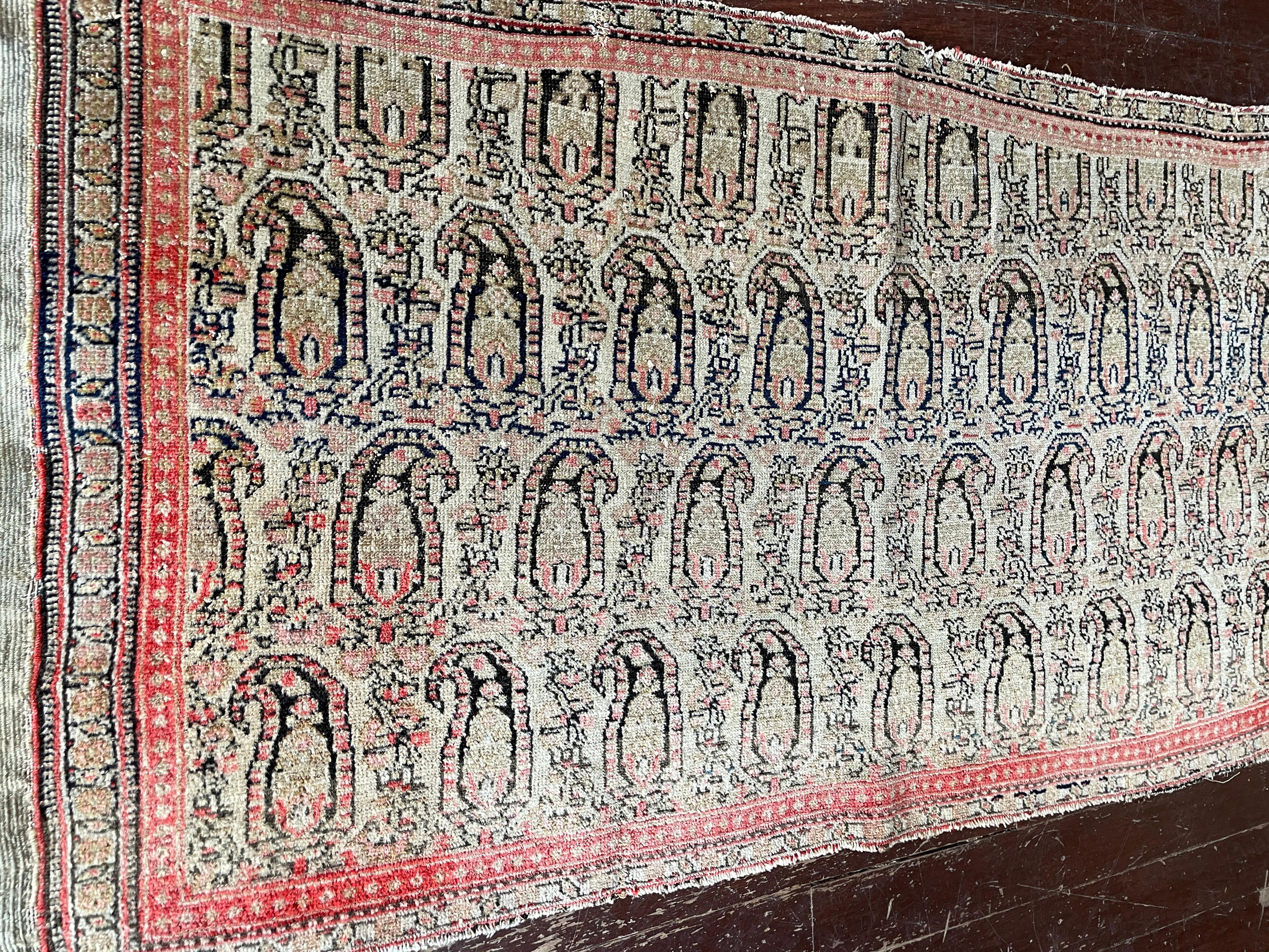 Antique Persian Senneh Rug, very fine 5