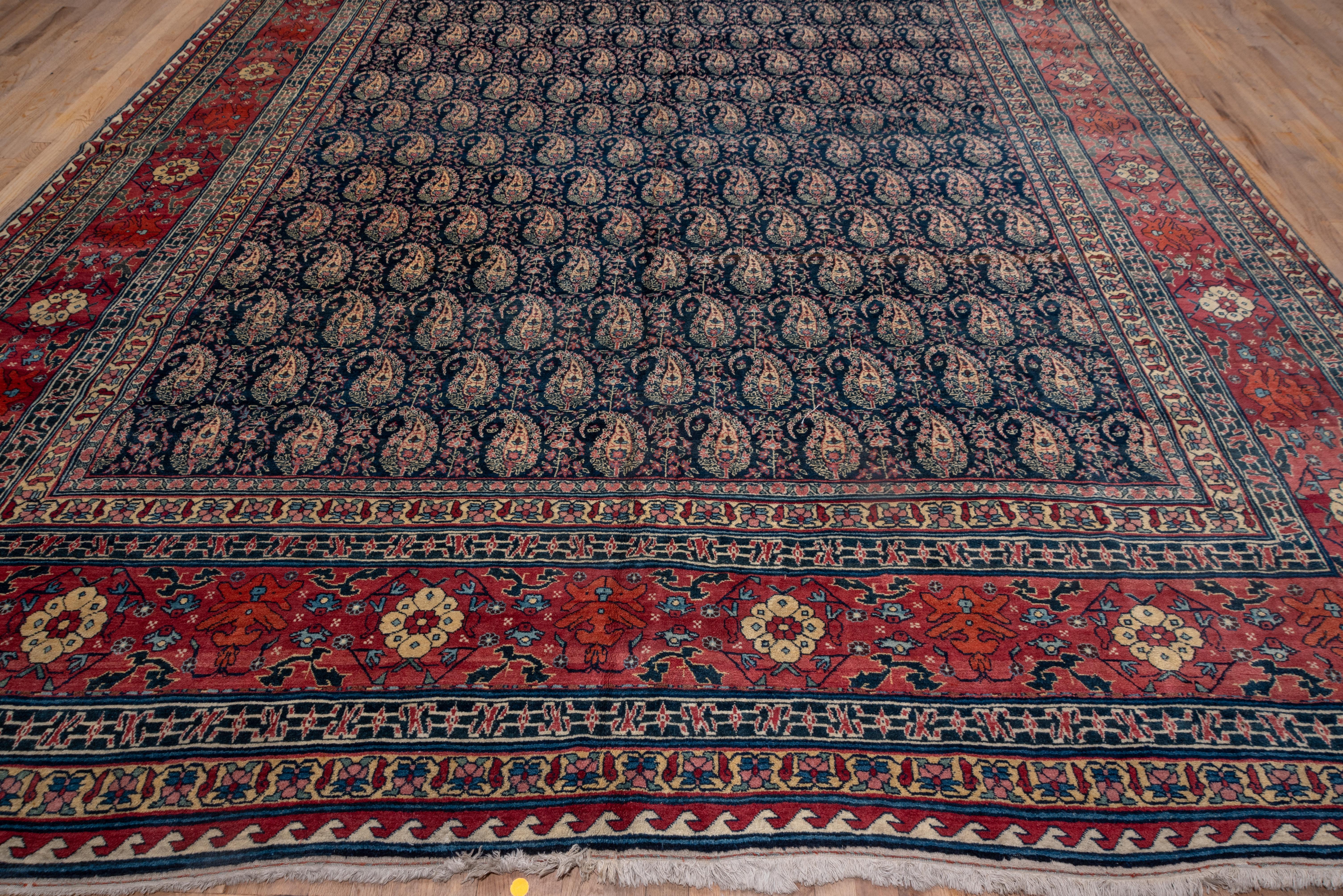 Here is a fine condition NW Persian well-woven city carpet with an eclectic design selection. The red main border relates to Bakhtiari carpets while the minors are in the Kurdish Suj-Bulak style. The navy field features half-drop rows of floriated