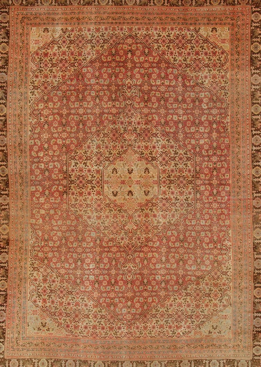 coral persian rug
