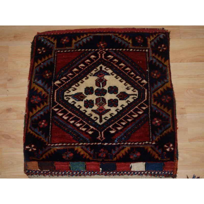 Antique Persian tribal Luri Khorjin with plain weave back.

The saddle bag faces are very well drawn with a central hooked medallion.

The design is typical of the Fars region Luri tribe , with a traditional border containing small rosettes. The