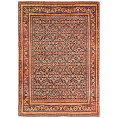 Tapis persan Senneh du 19ème siècle ( 7'6"" x 10"" - 228 x 330 cm)