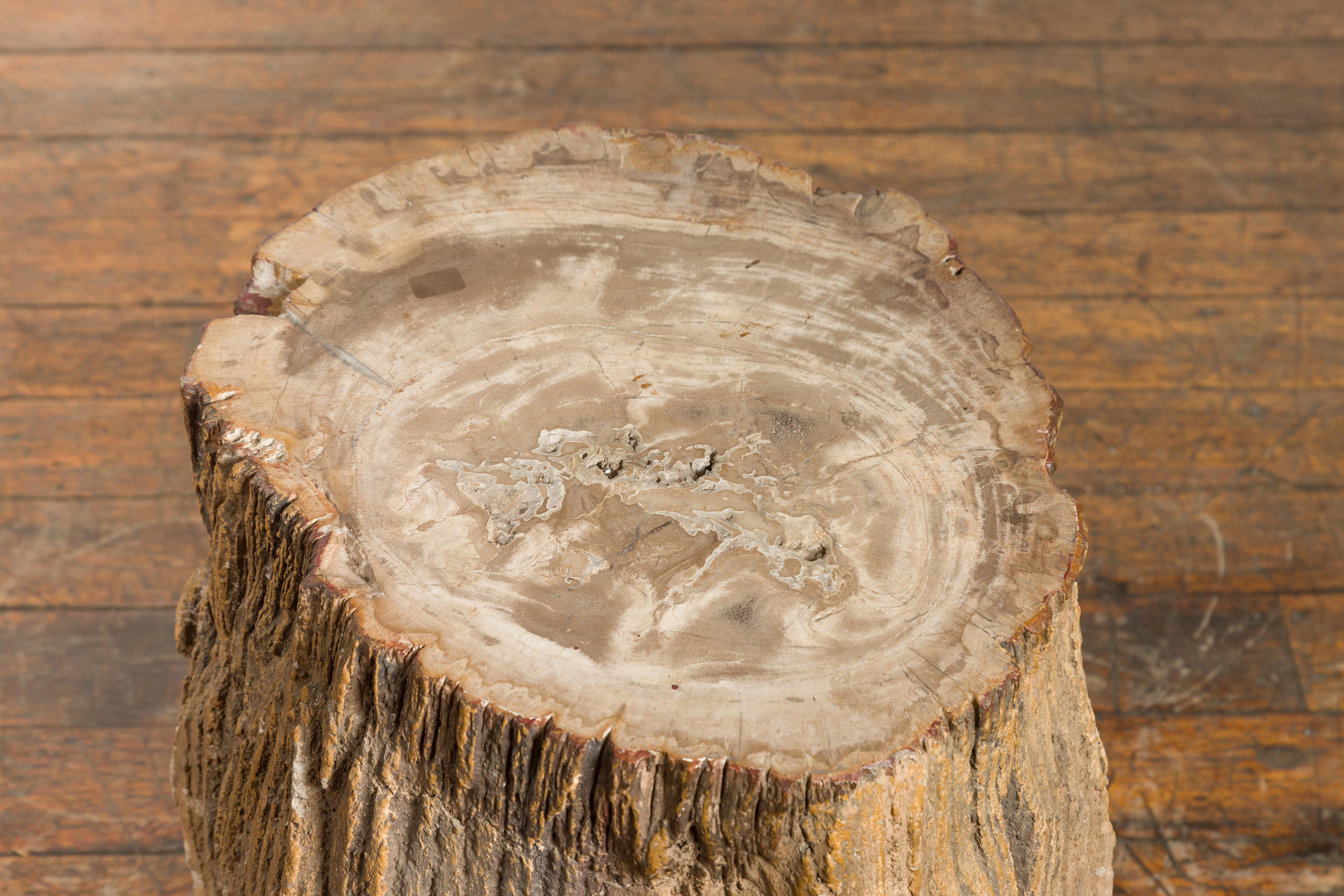 petrified wood stump