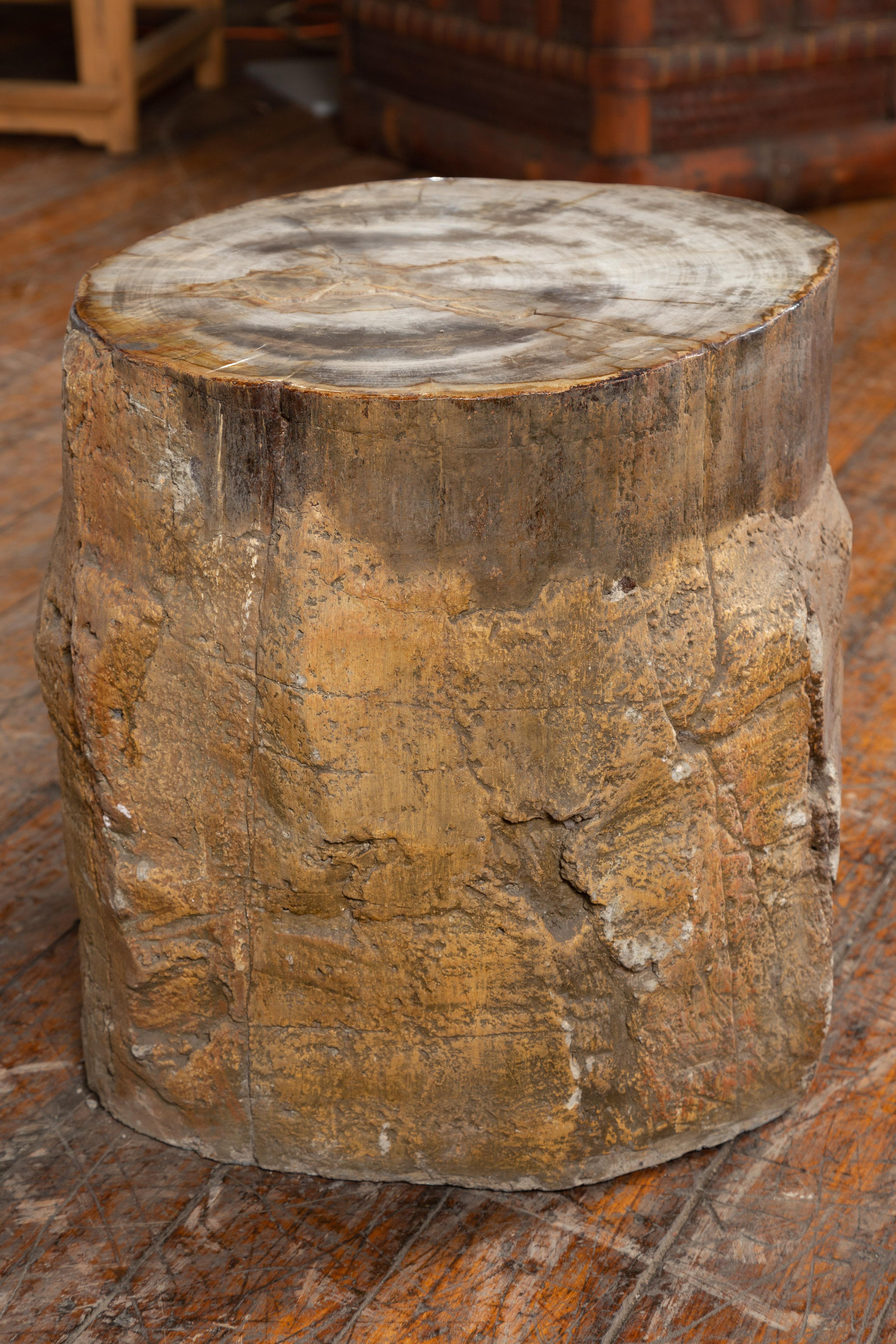 18th Century and Earlier Antique Petrified Wood Tree Stump Drinks Table or Stool Covered in Gesso