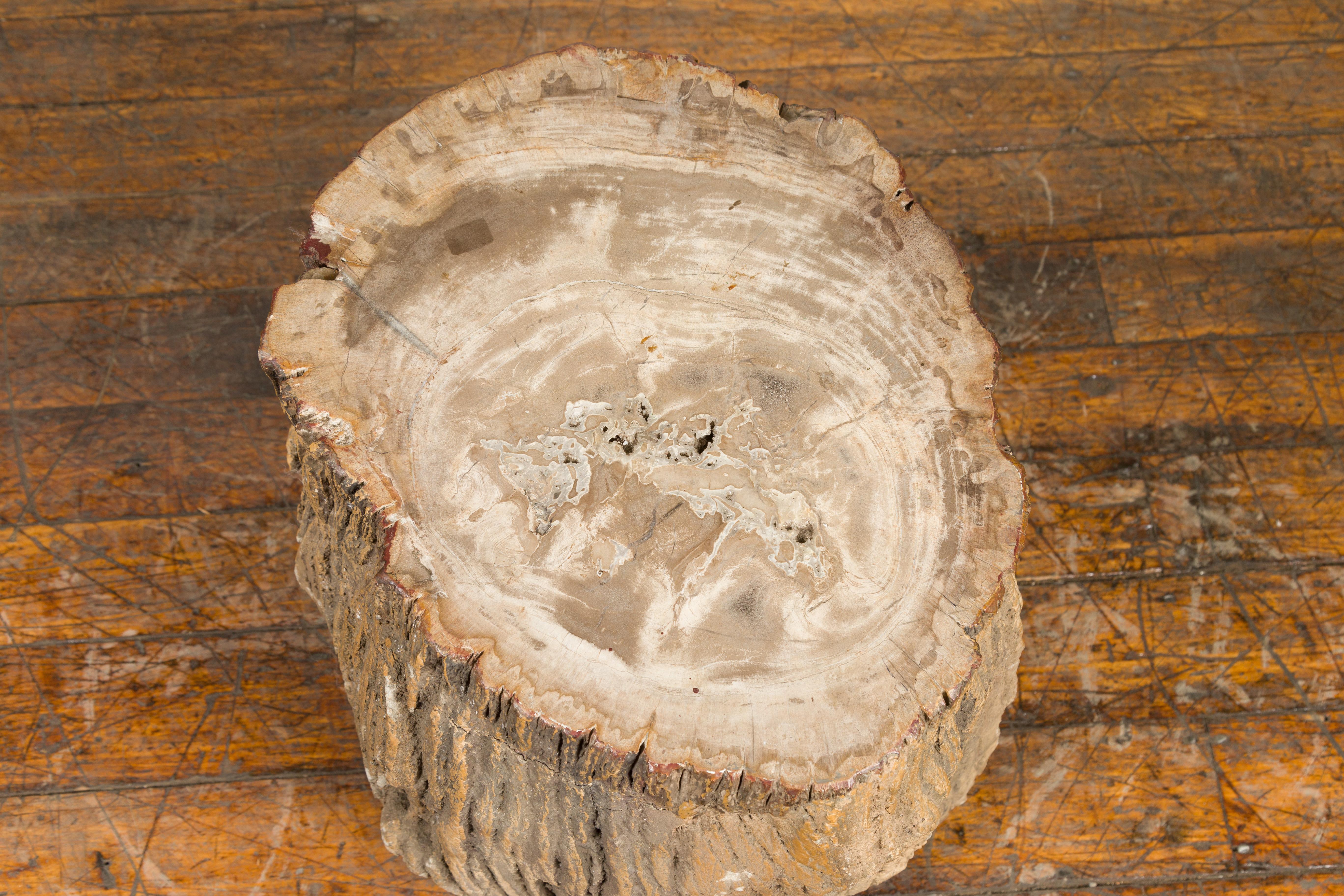Asian Antique Petrified Wood Tree Stump Drinks Table or Stool Covered in Gesso For Sale