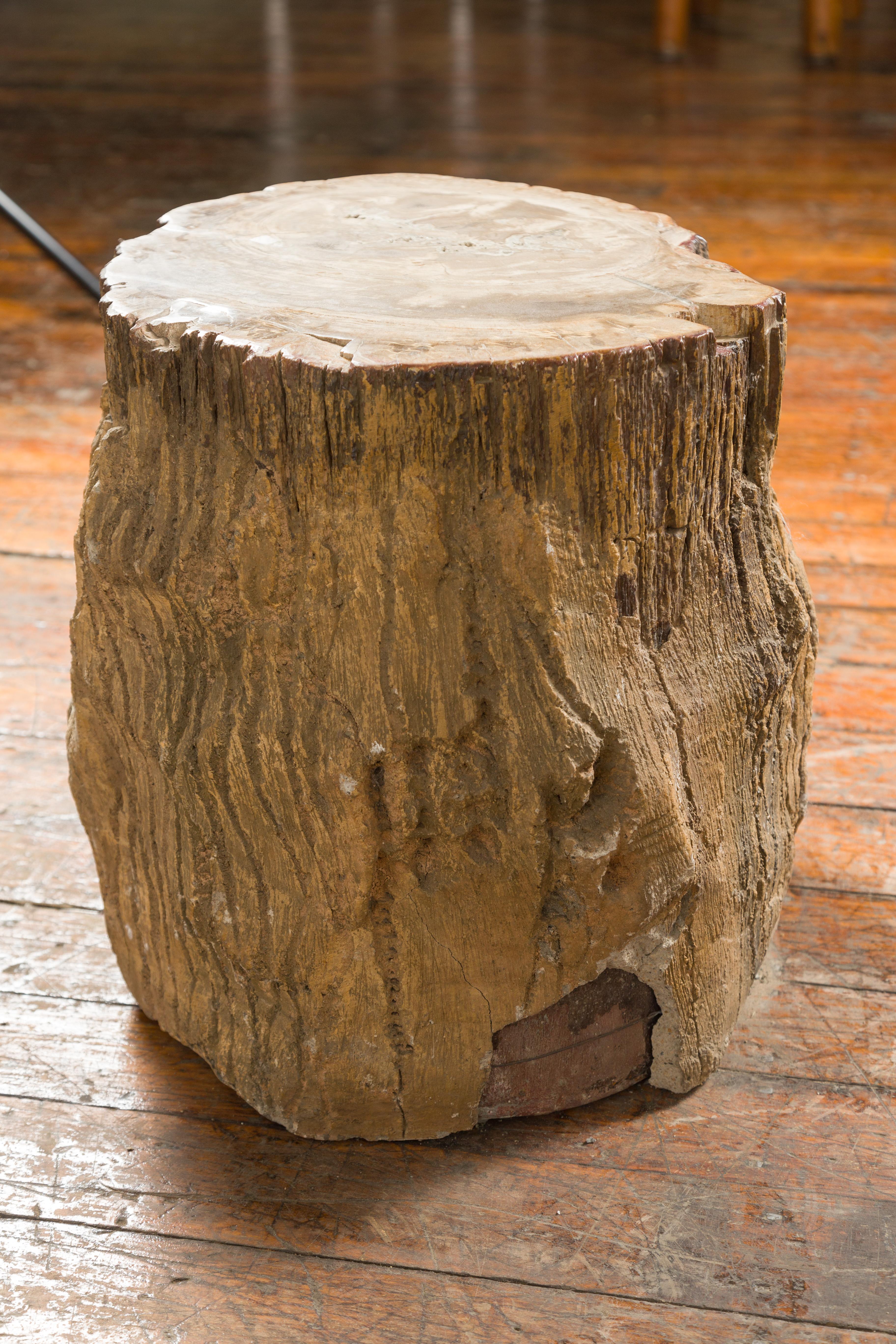Antique Petrified Wood Tree Stump Drinks Table or Stool Covered in Gesso For Sale 1