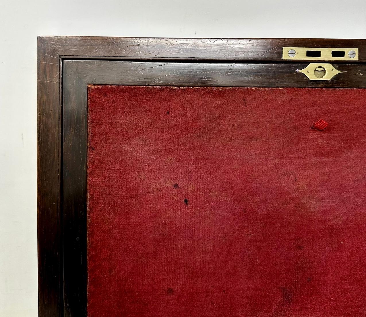 Antique Pewter Inlaid Burl Amboyne Coromandel Desk Wooden Writing Slope Box 19Ct For Sale 3